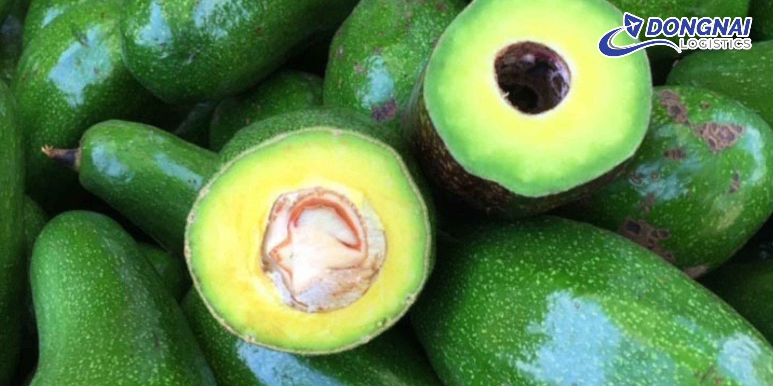 Gửi Bơ Đắk Lắk Đi TP.HCM – Vận Chuyển Nhanh Và An Toàn Cùng DongNai Logistics