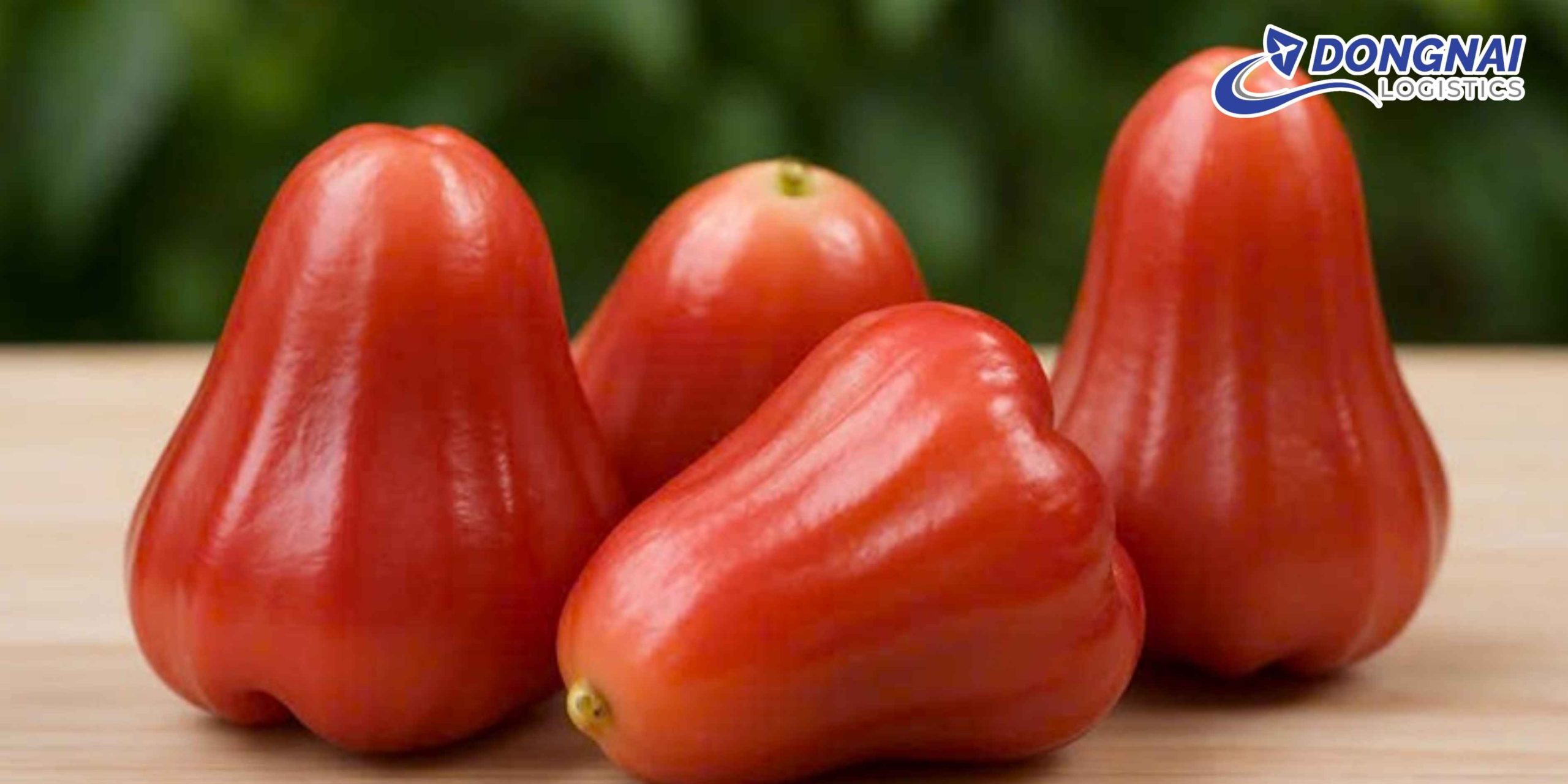 Gửi Mận Roi Từ Hà Nội Vào Sài Gòn Nhanh Chóng Và An Toàn Cùng DongNai Logistics