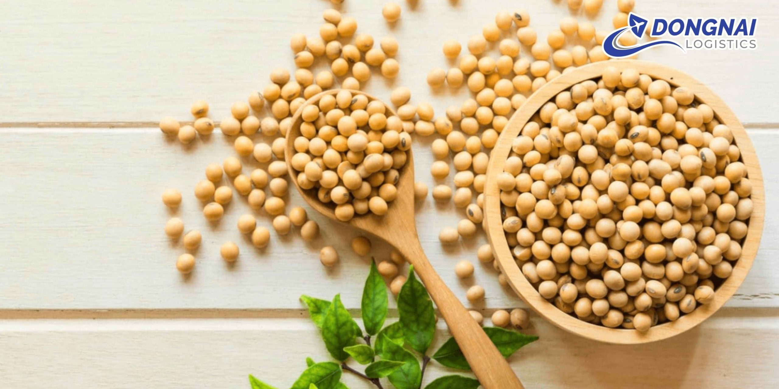 Gửi Hạt Đậu Nành Từ Miền Tây Lên Sài Gòn – Giữ Trọn Chất Lượng Với DongNai Logistics