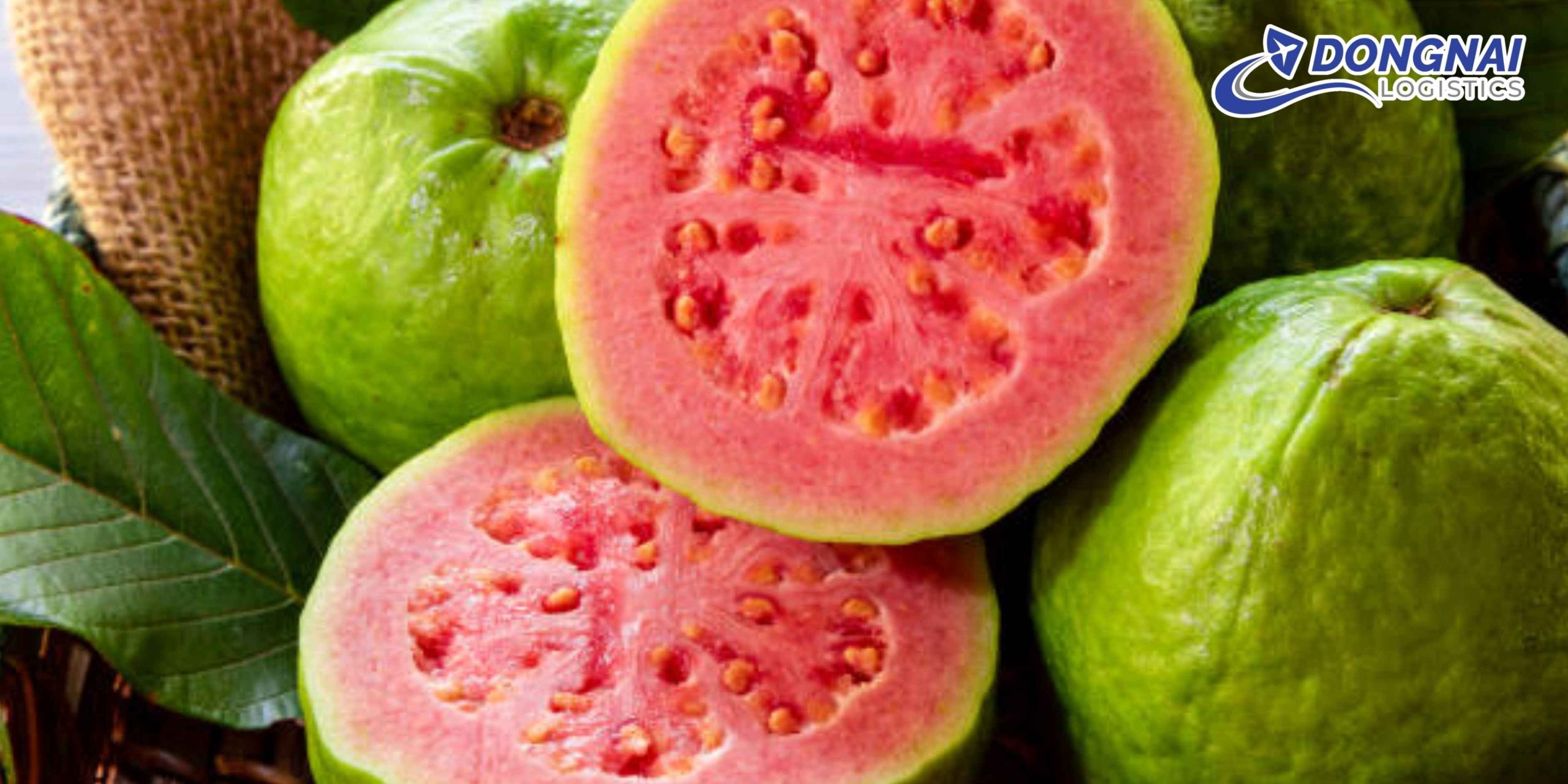Gửi Ổi Sang Thái Lan – Singapore Nhanh Chóng, Tươi Ngon Cùng DongNai Logistics