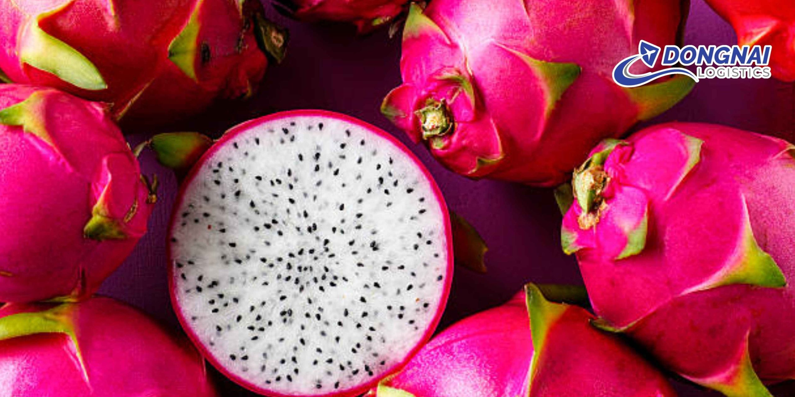 Gửi Thanh Long Sang Trung Quốc Nhanh – Tươi Đẹp Cùng DongNai Logistics