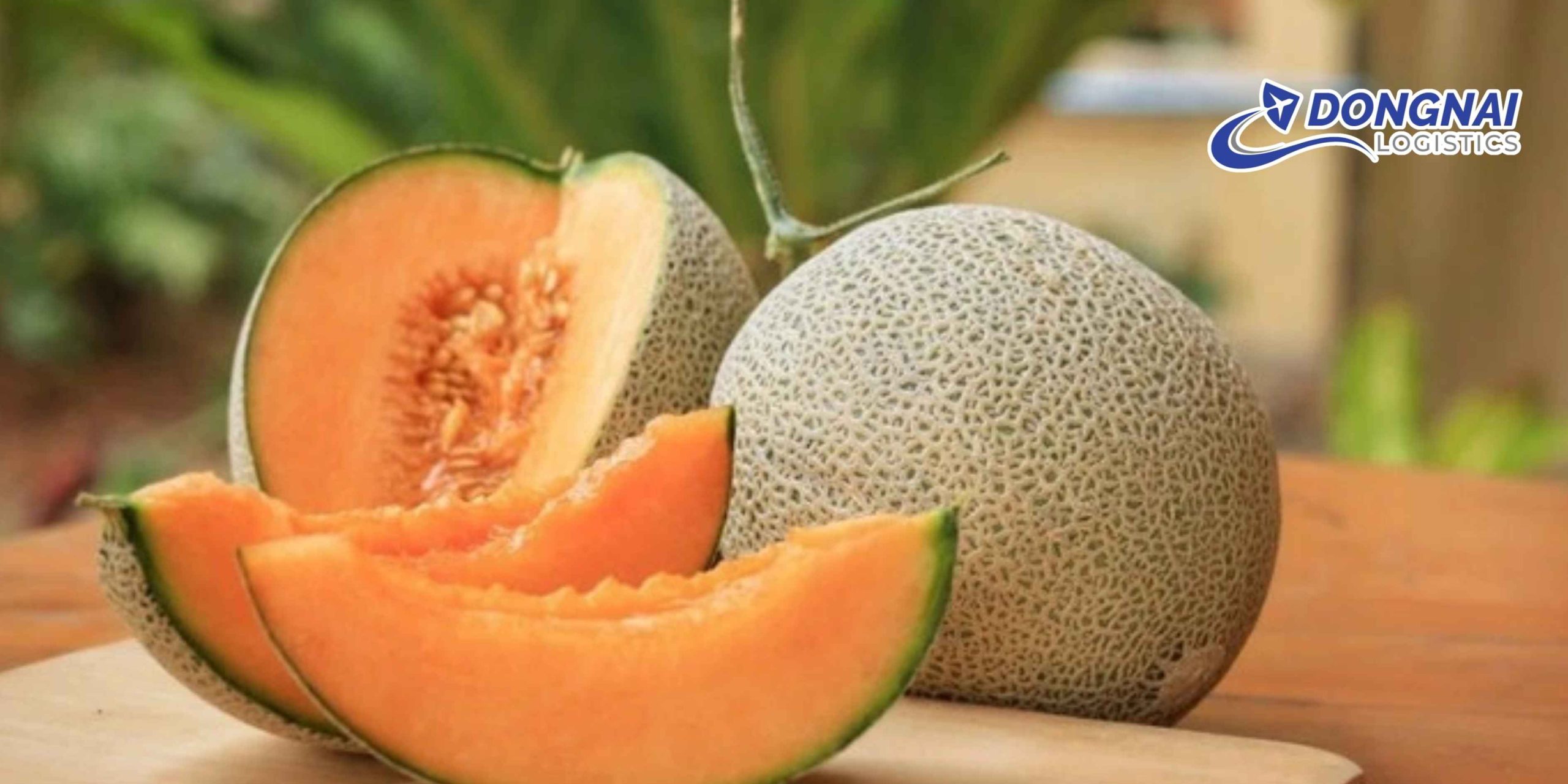 Gửi Dưa Lưới Sang Hàn Quốc Nhanh – Giữ Trọn Độ Tươi Cùng DongNai Logistics
