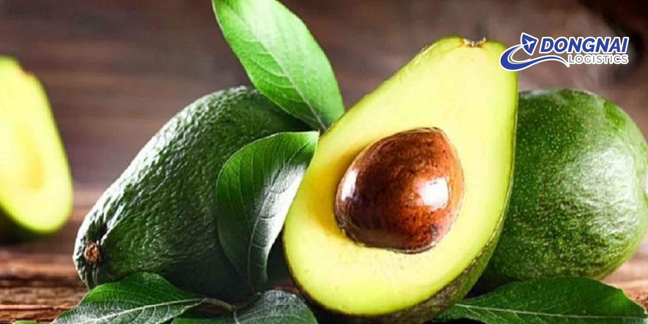 Gửi Bơ Đắk Lắk Đi TP.HCM – Vận Chuyển Nhanh Và An Toàn Cùng DongNai Logistics