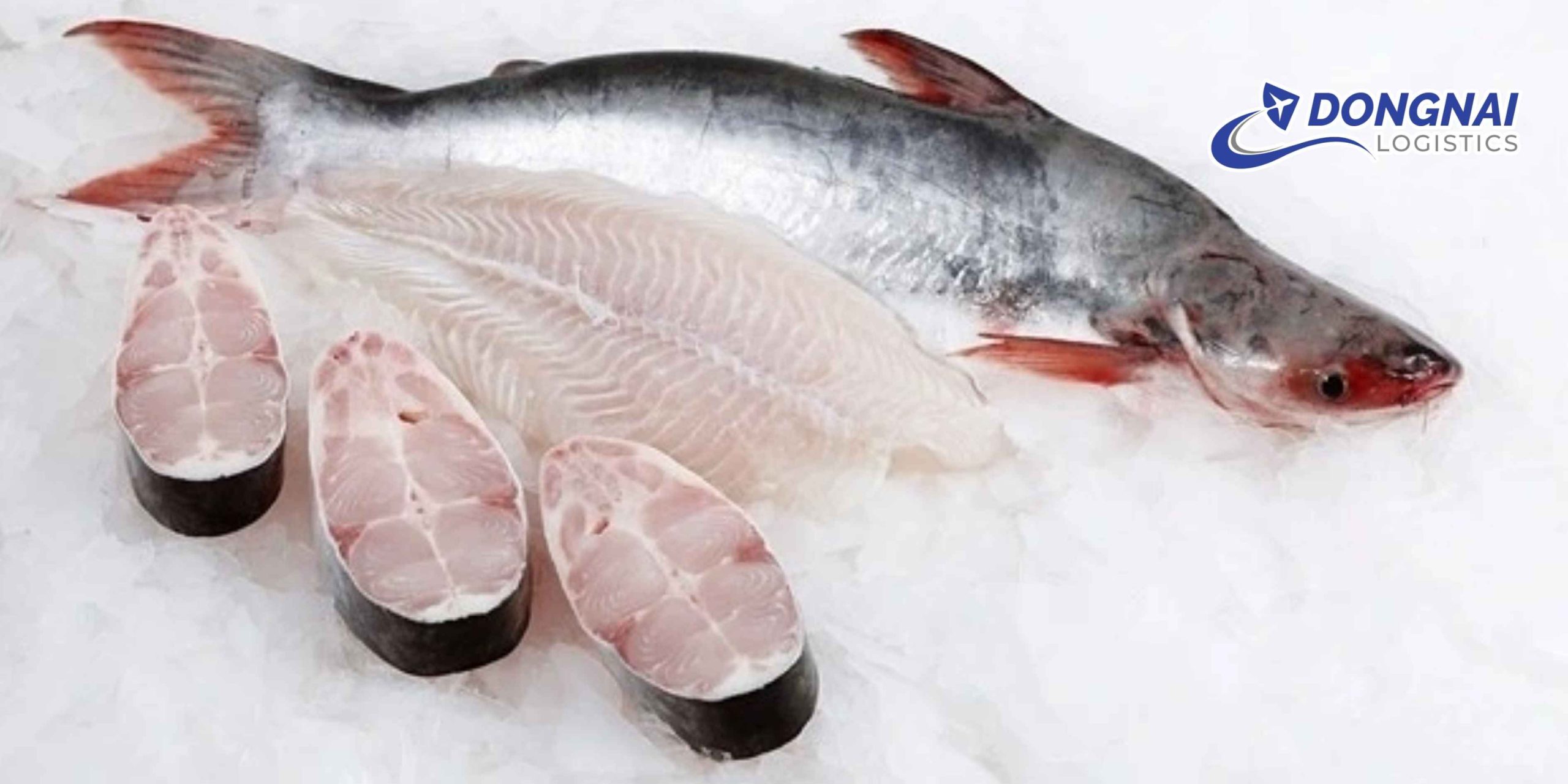 Gửi cá ba sa từ Việt Nam sang Trung Quốc – An toàn, nhanh chóng cùng DongNai Logistics