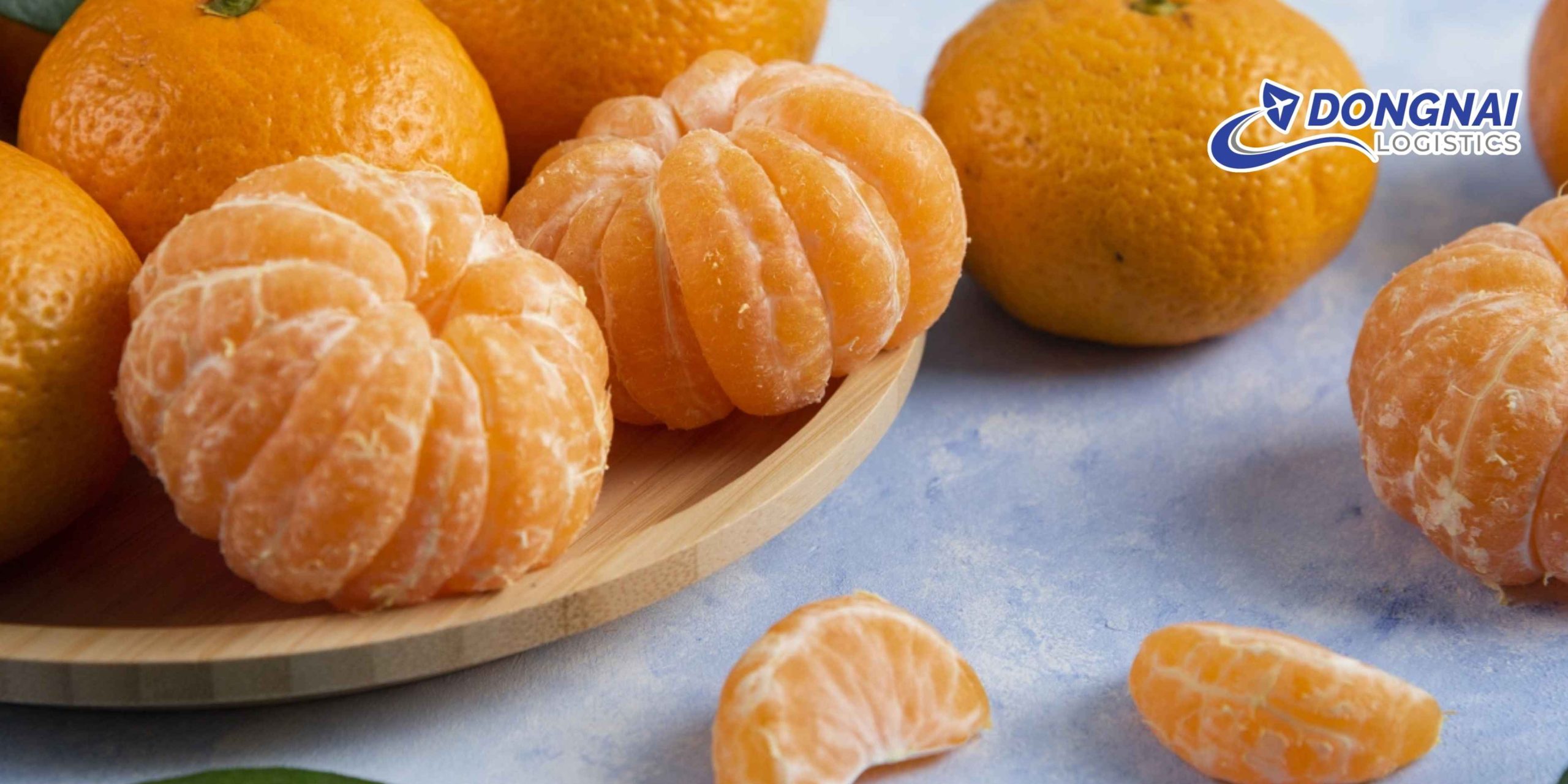 Gửi Quýt Từ Việt Nam Sang Thái Lan – Giữ Trọn Hương Vị Với DongNai Logistics