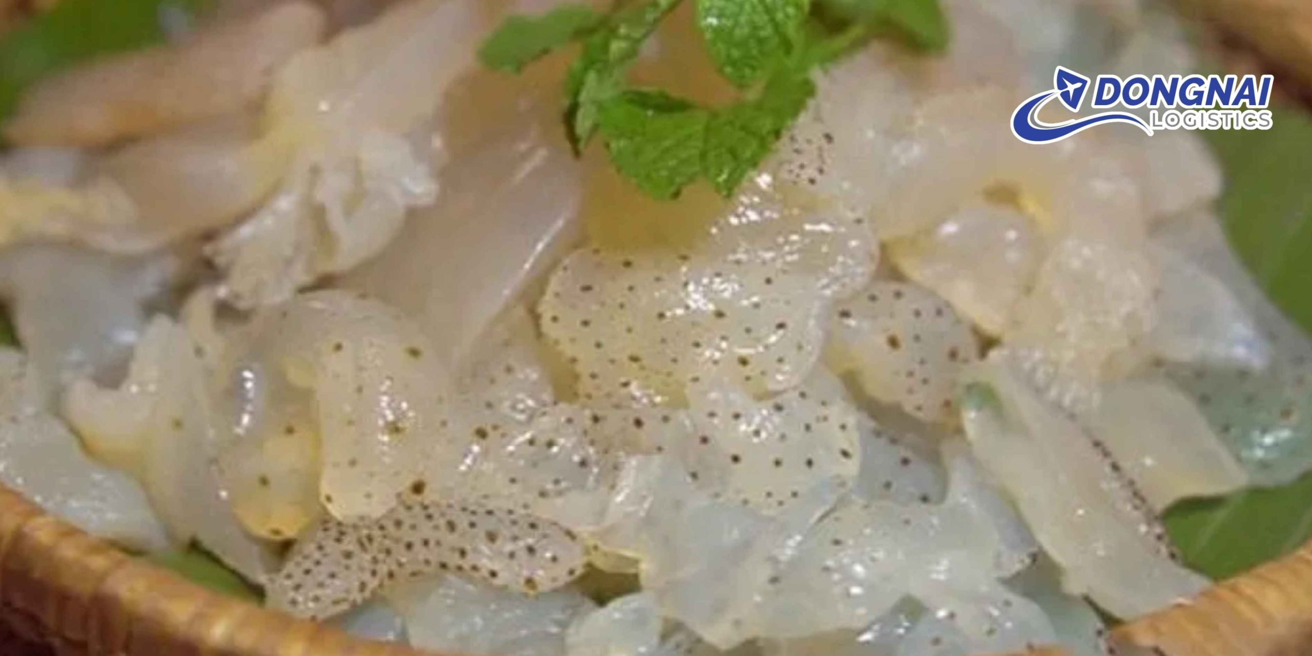 Gửi Sứa Mèo Nha Trang Ra Hà Nội – Giữ Trọn Giá Trị Với DongNai Logistics