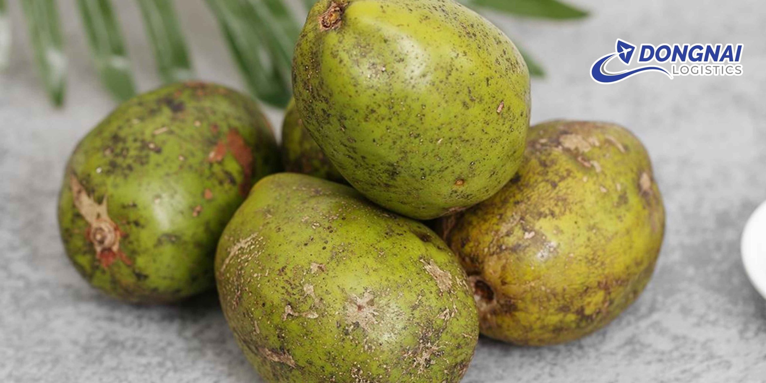 Gửi Trái Cóc Từ Tiền Giang Ra Hà Nội – Giữ Trọn Vị Ngon Cùng DongNai Logistics