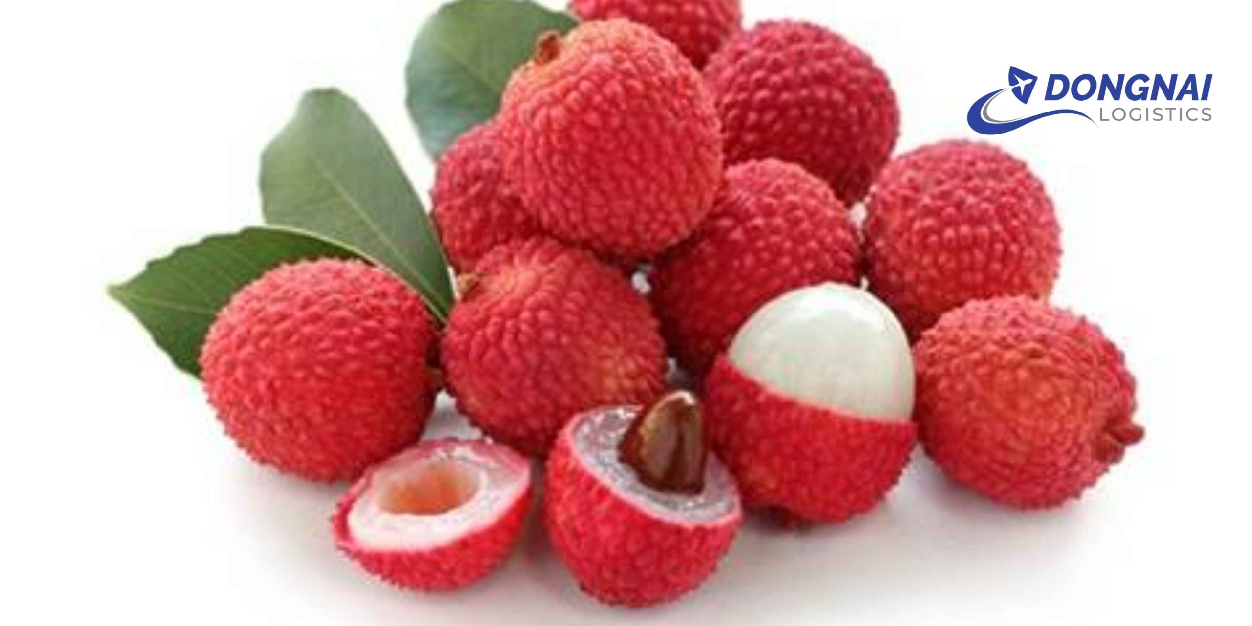Gửi Vải Thiều Sang Trung Quốc Nhanh – Tươi Đỏ Cùng DongNai Logistics