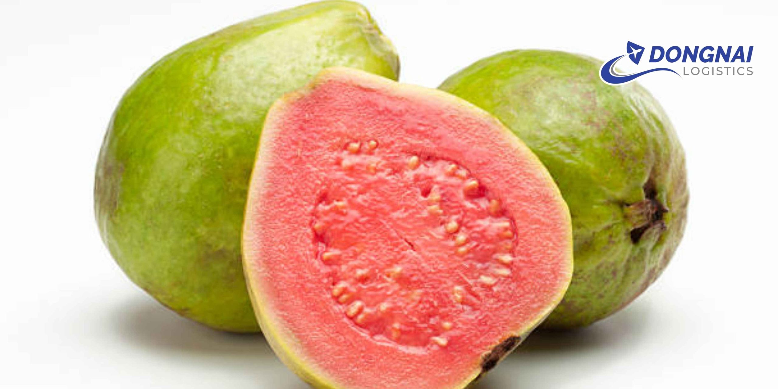 Gửi Ổi Sang Thái Lan – Singapore Nhanh Chóng, Tươi Ngon Cùng DongNai Logistics