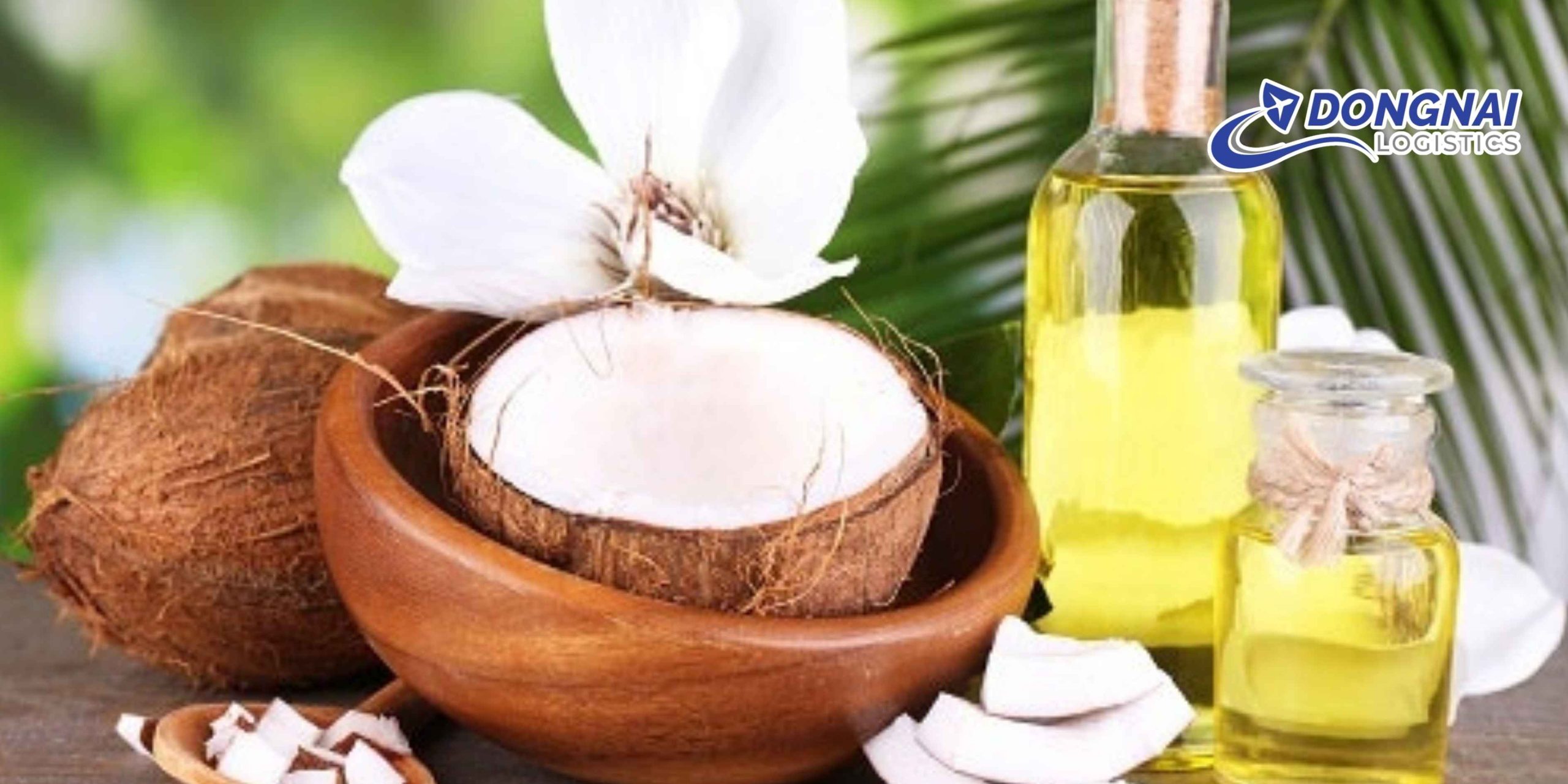 Gửi Dầu Dừa Từ Bến Tre Ra Hà Nội Nhanh – An Toàn Cùng DongNai Logistics