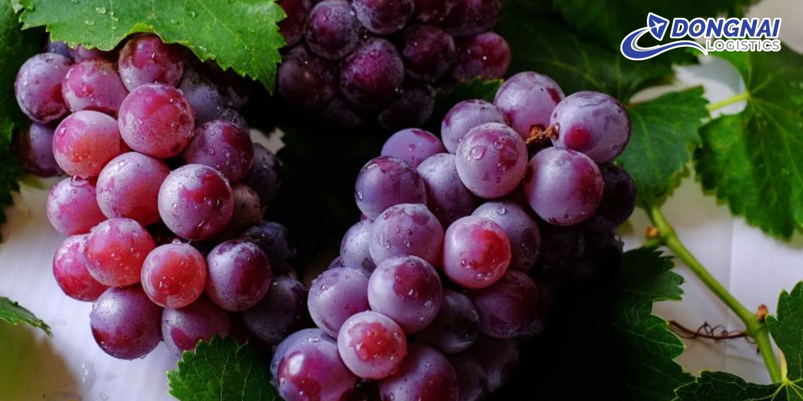 Gửi Nho Từ Việt Nam Sang Trung Quốc – Giữ Trọn Hương Vị Với DongNai Logistics