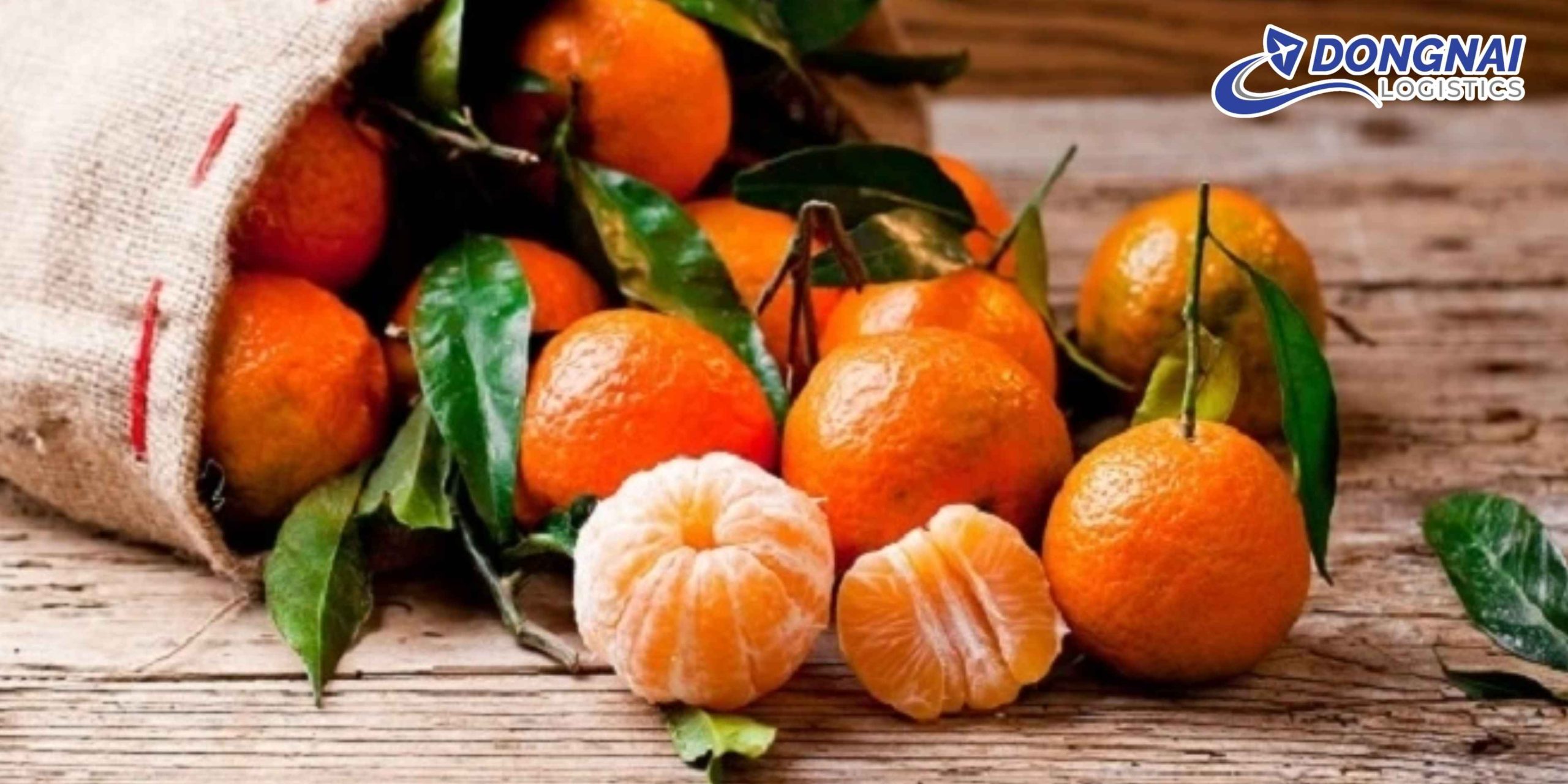 Gửi Quýt Từ Việt Nam Sang Thái Lan – Giữ Trọn Hương Vị Với DongNai Logistics