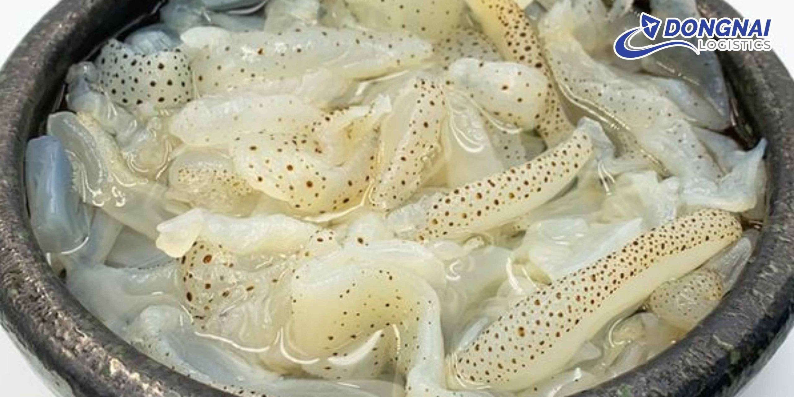 Gửi Sứa Mèo Nha Trang Ra Hà Nội – Giữ Trọn Giá Trị Với DongNai Logistics