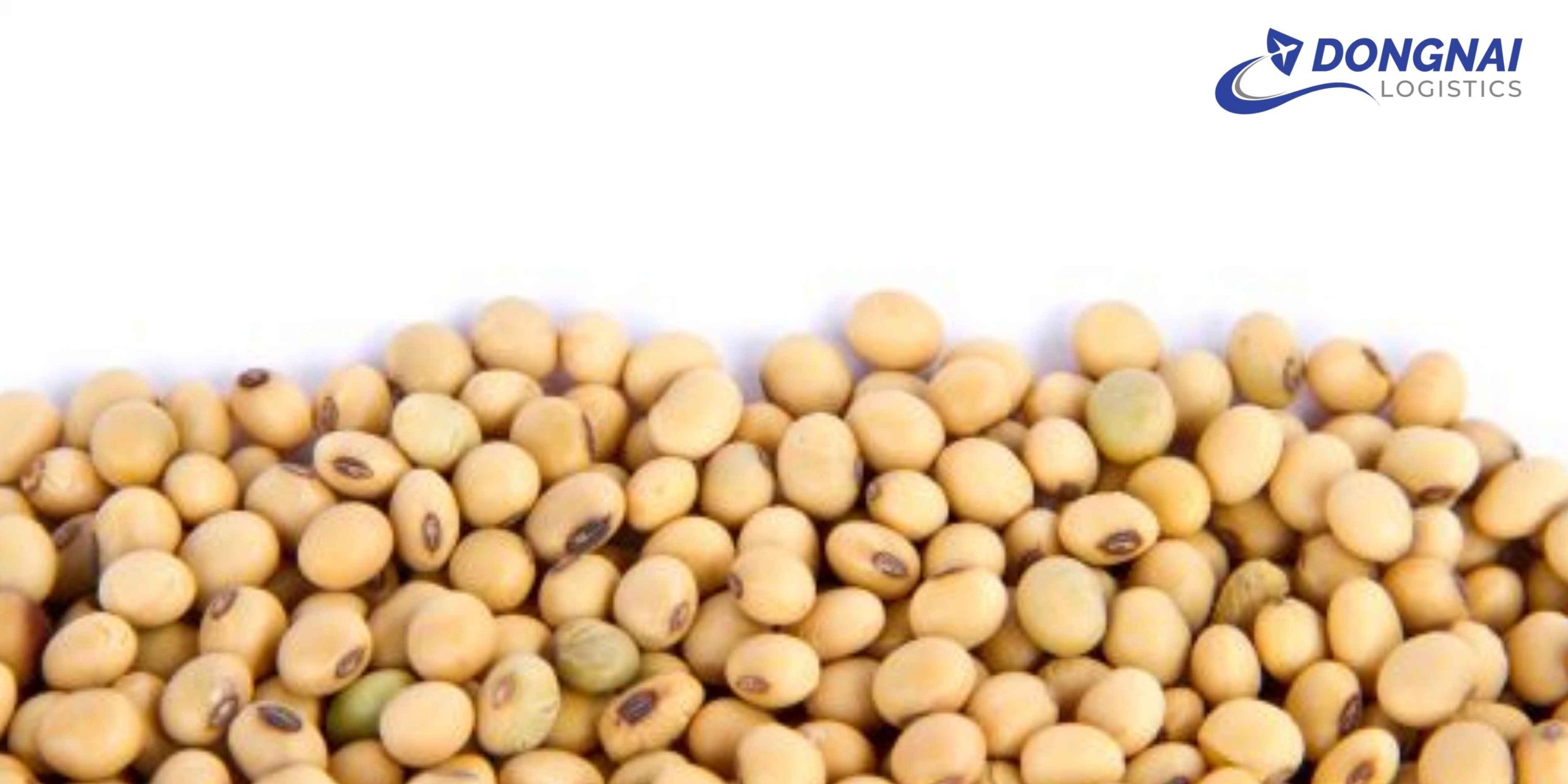 Gửi Hạt Đậu Nành Từ Miền Tây Lên Sài Gòn – Giữ Trọn Chất Lượng Với DongNai Logistics
