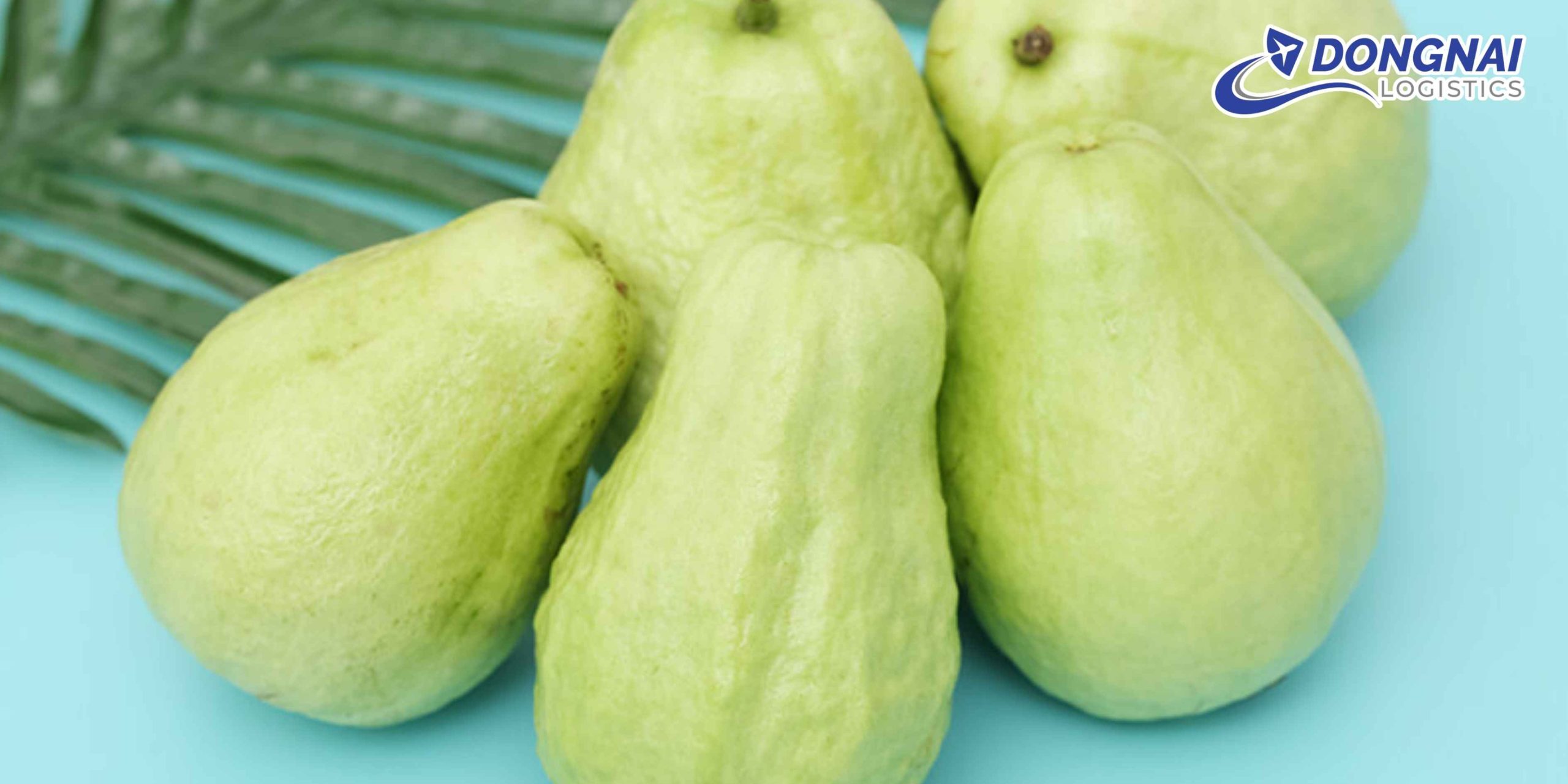 Gửi Ổi Sang Thái Lan – Singapore Nhanh Chóng, Tươi Ngon Cùng DongNai Logistics
