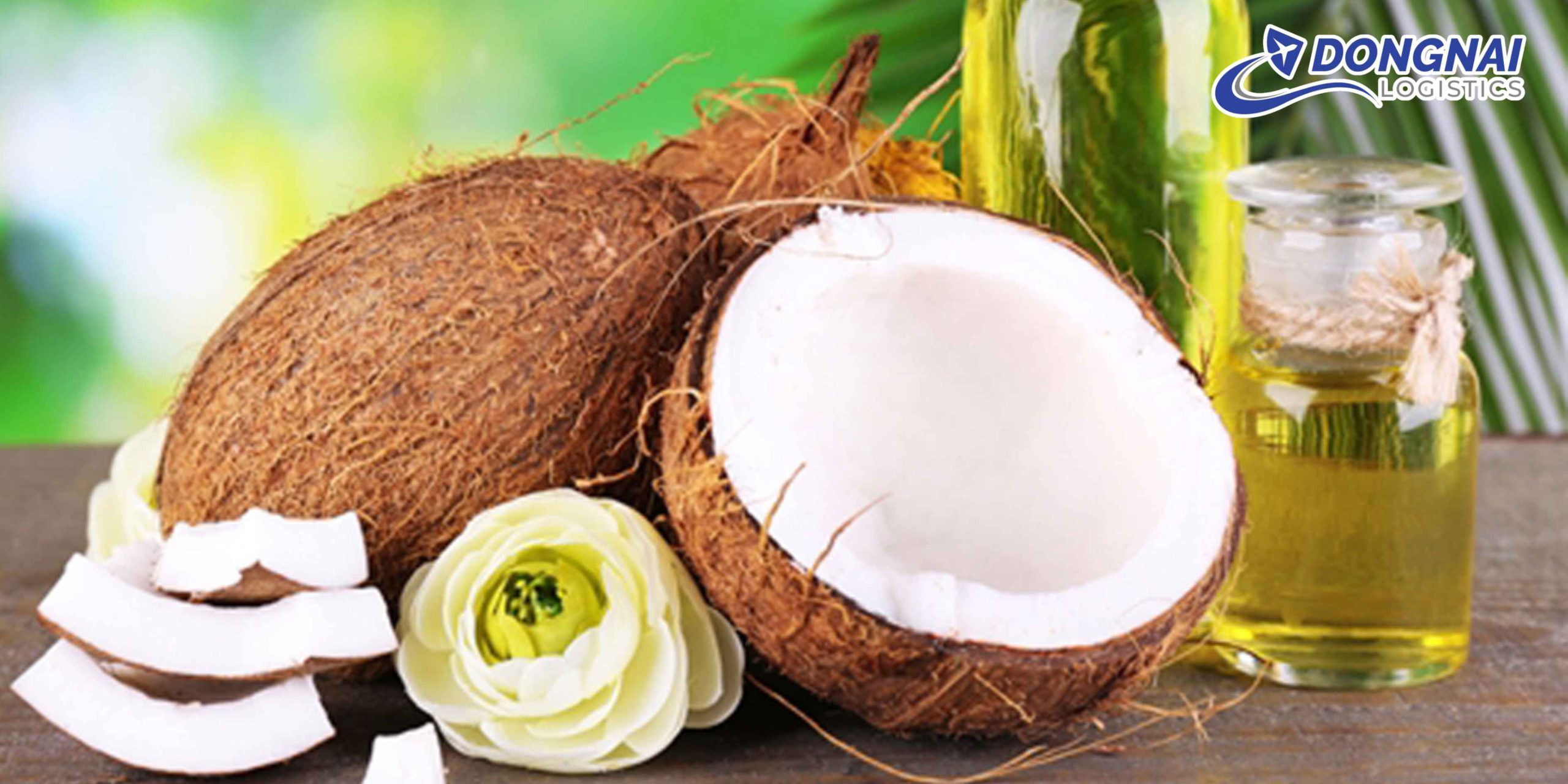 Gửi Dầu Dừa Từ Đồng Nai Đi Phú Yên Nhanh Chóng – An Toàn Cùng DongNai Logistics