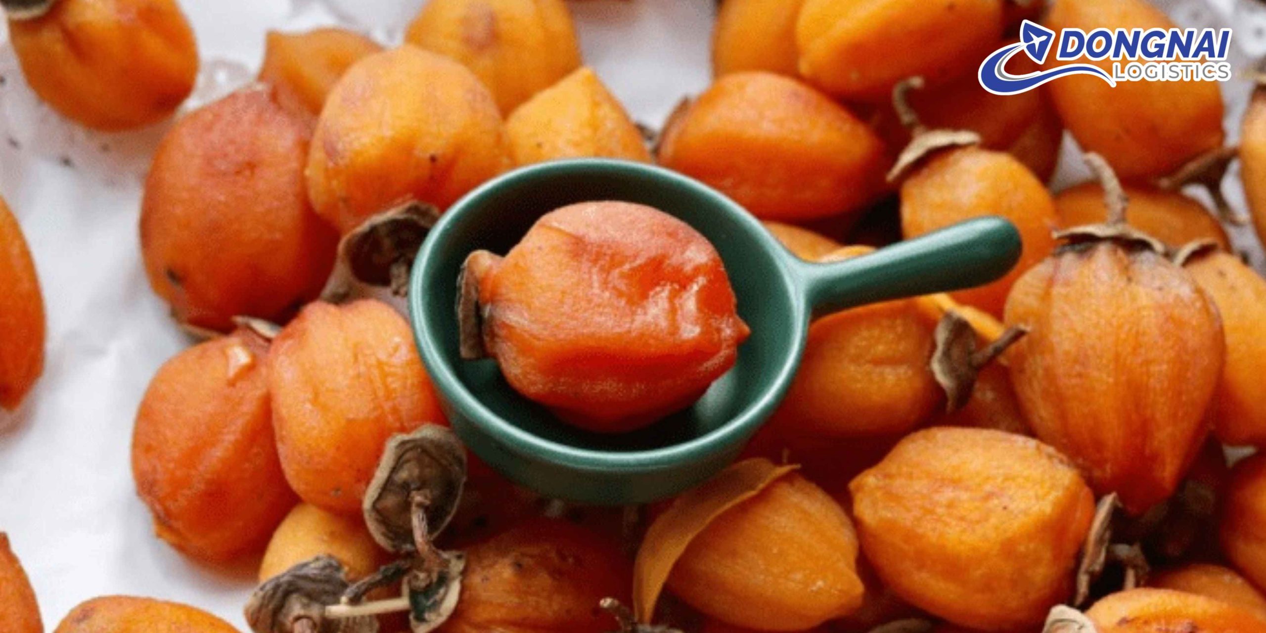 Gửi Hồng Treo Gió Từ Đà Lạt Đi Hà Nội Nhanh Chóng – An Toàn Cùng DongNai Logistics