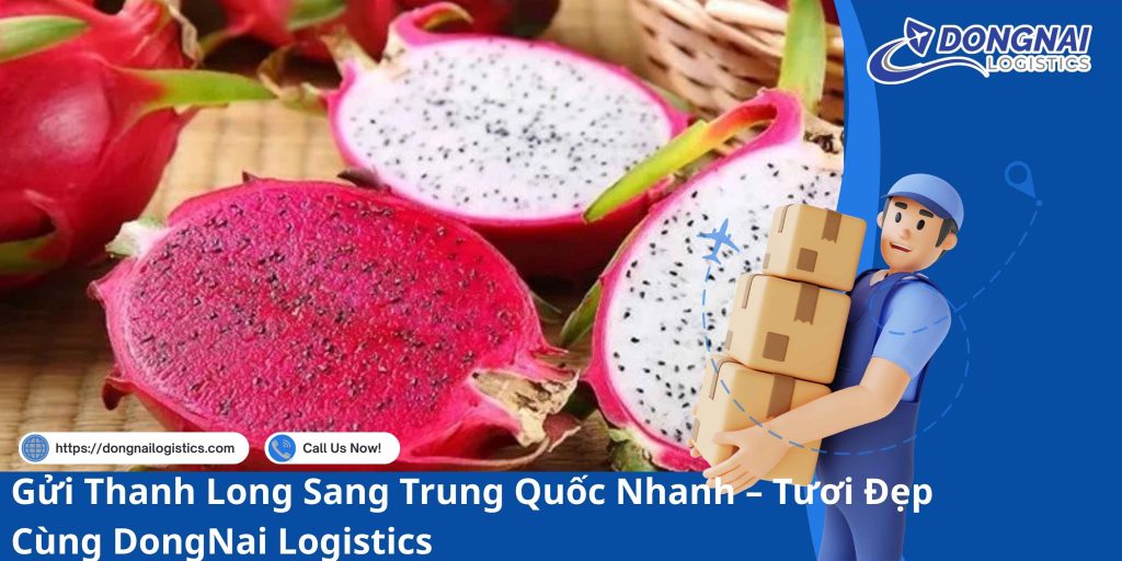 Gửi Thanh Long Sang Trung Quốc Nhanh – Tươi Đẹp Cùng DongNai Logistics