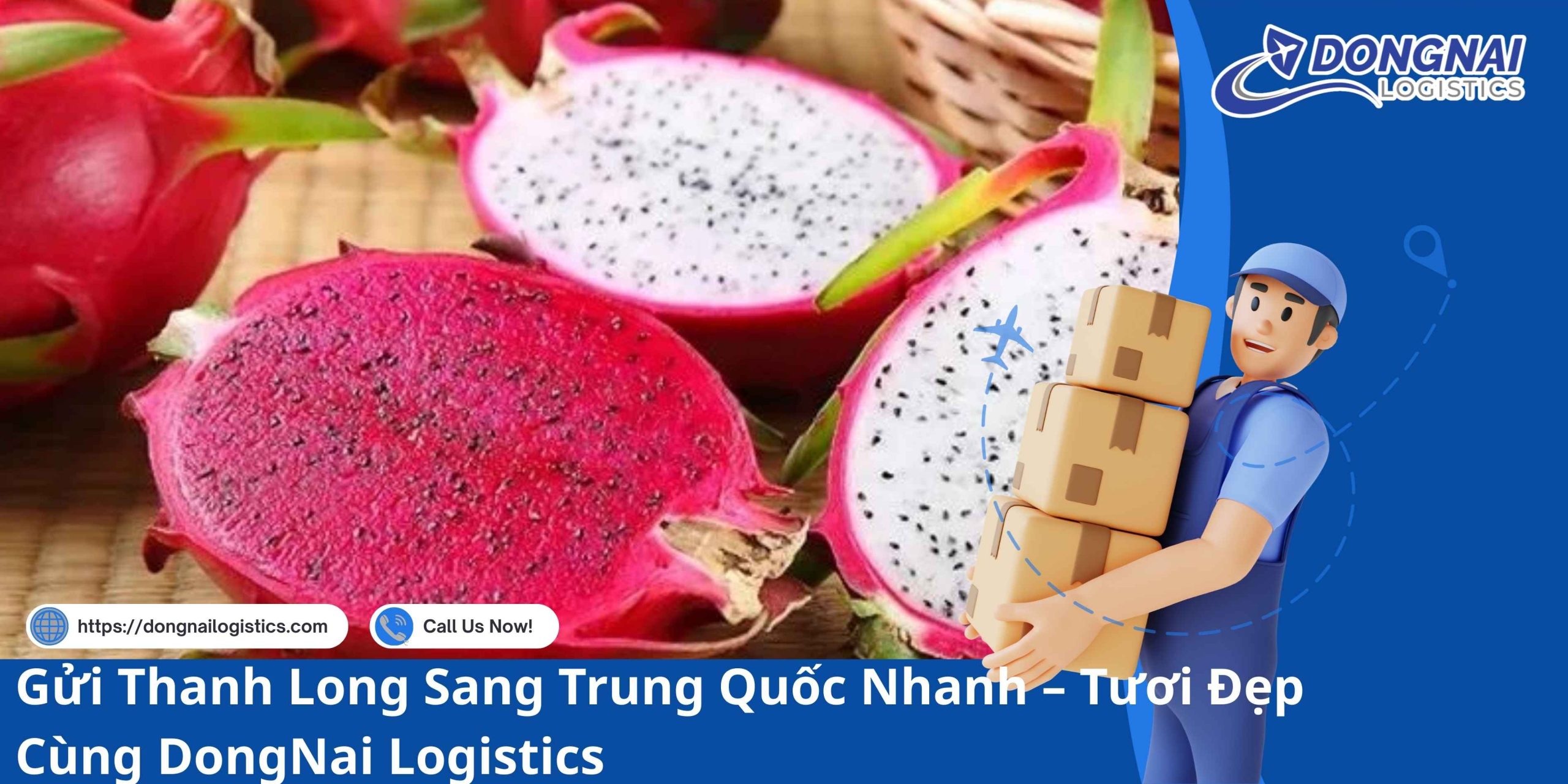 Gửi Thanh Long Sang Trung Quốc Nhanh – Tươi Đẹp Cùng DongNai Logistics