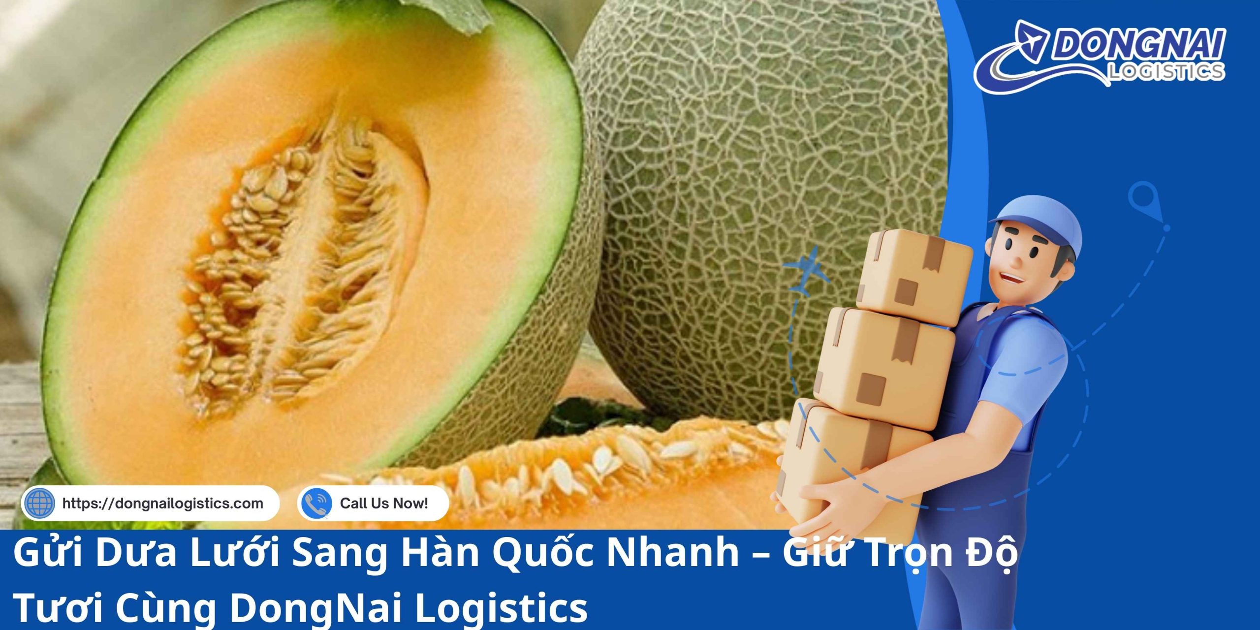 Gửi Dưa Lưới Sang Hàn Quốc Nhanh – Giữ Trọn Độ Tươi Cùng DongNai Logistics