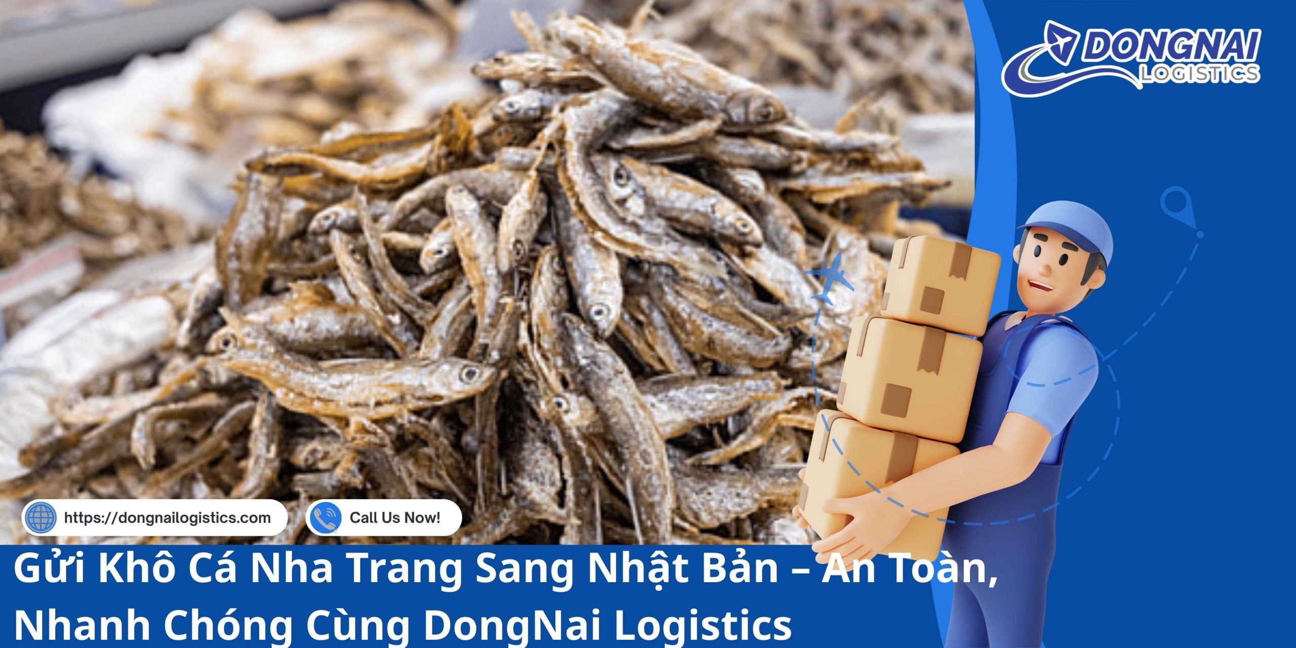 Gửi Khô Cá Nha Trang Sang Nhật Bản – An Toàn, Nhanh Chóng Cùng DongNai Logistics