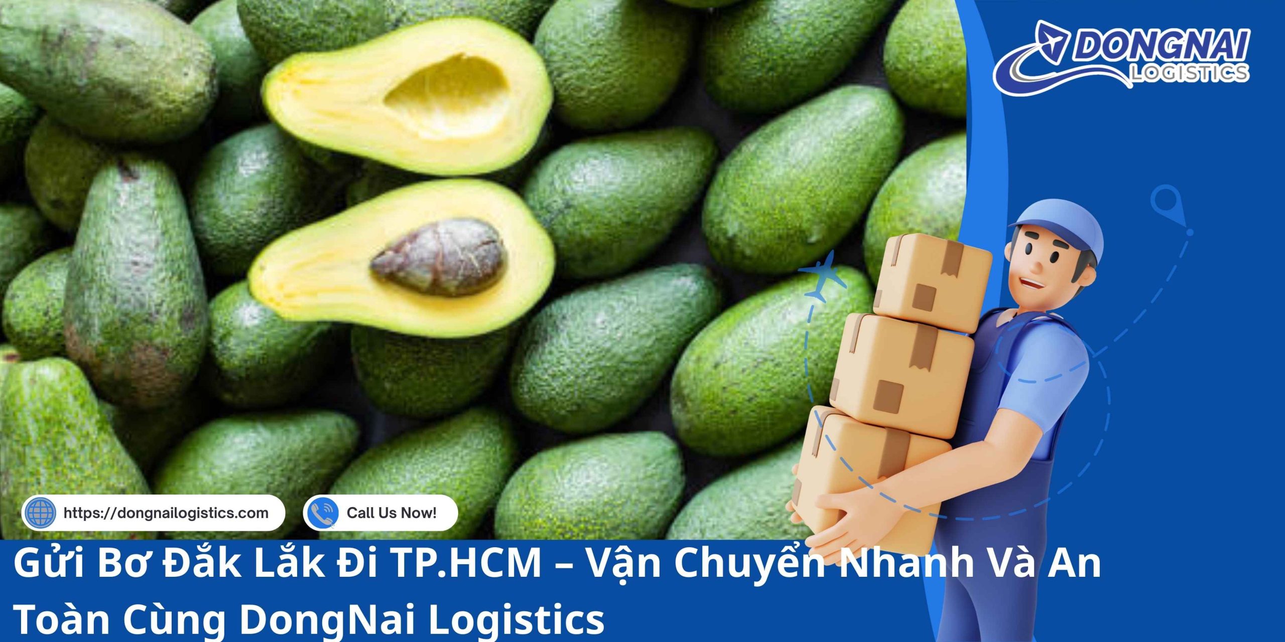 Gửi Bơ Đắk Lắk Đi TP.HCM – Vận Chuyển Nhanh Và An Toàn Cùng DongNai Logistics