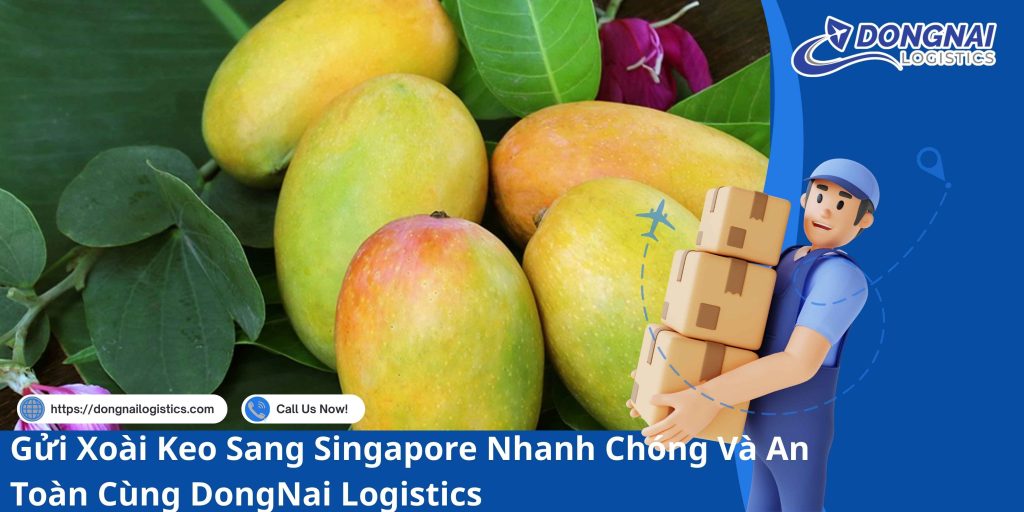 Gửi Xoài Keo Sang Singapore Nhanh Chóng Và An Toàn Cùng DongNai Logistics