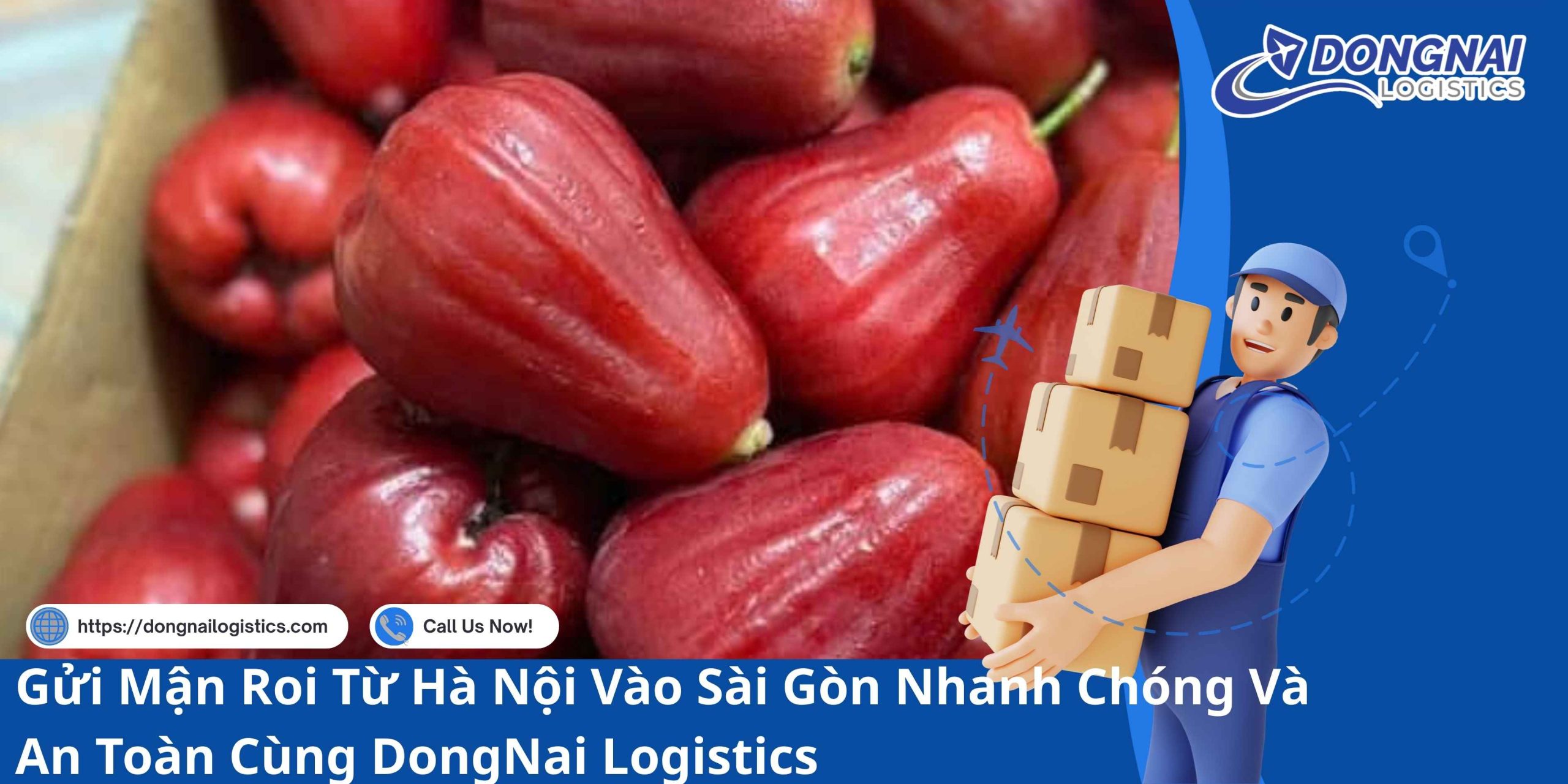 Gửi Mận Roi Từ Hà Nội Vào Sài Gòn Nhanh Chóng Và An Toàn Cùng DongNai Logistics