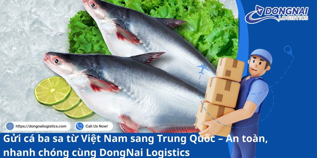 Gửi cá ba sa từ Việt Nam sang Trung Quốc – An toàn, nhanh chóng cùng DongNai Logistics