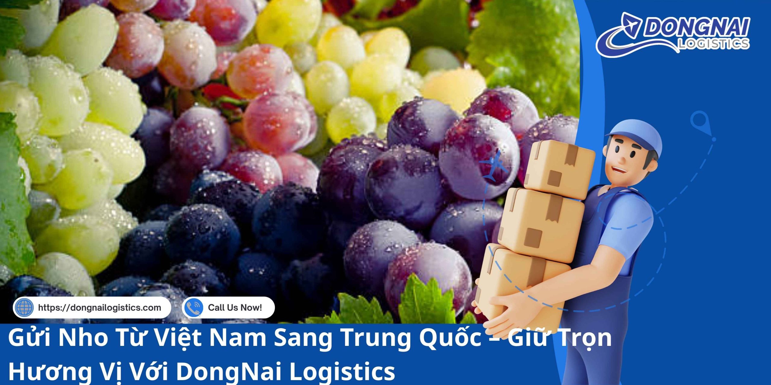 Gửi Nho Từ Việt Nam Sang Trung Quốc – Giữ Trọn Hương Vị Với DongNai Logistics