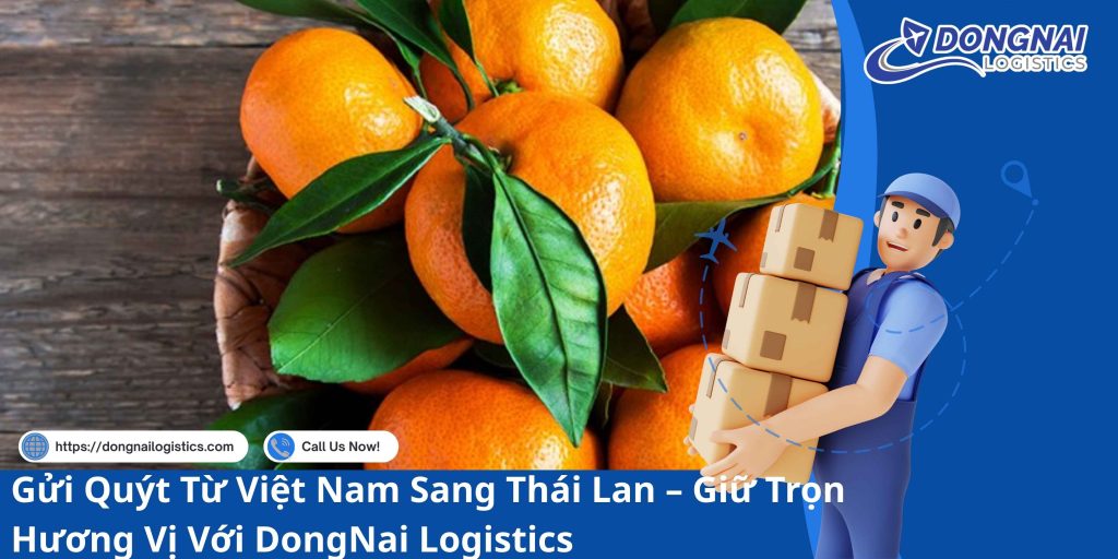 Gửi Quýt Từ Việt Nam Sang Thái Lan – Giữ Trọn Hương Vị Với DongNai Logistics