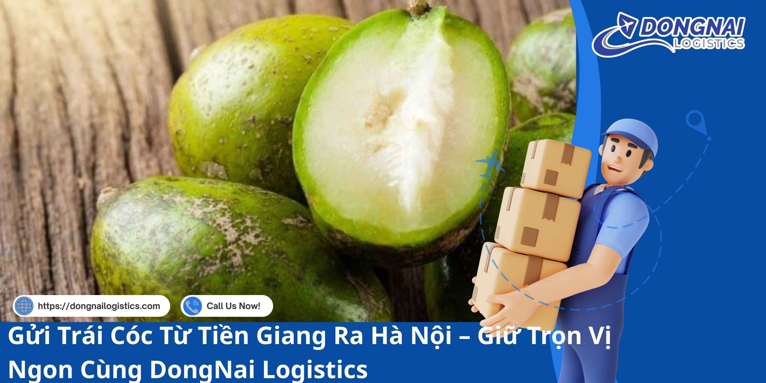 Gửi Trái Cóc Từ Tiền Giang Ra Hà Nội – Giữ Trọn Vị Ngon Cùng DongNai Logistics