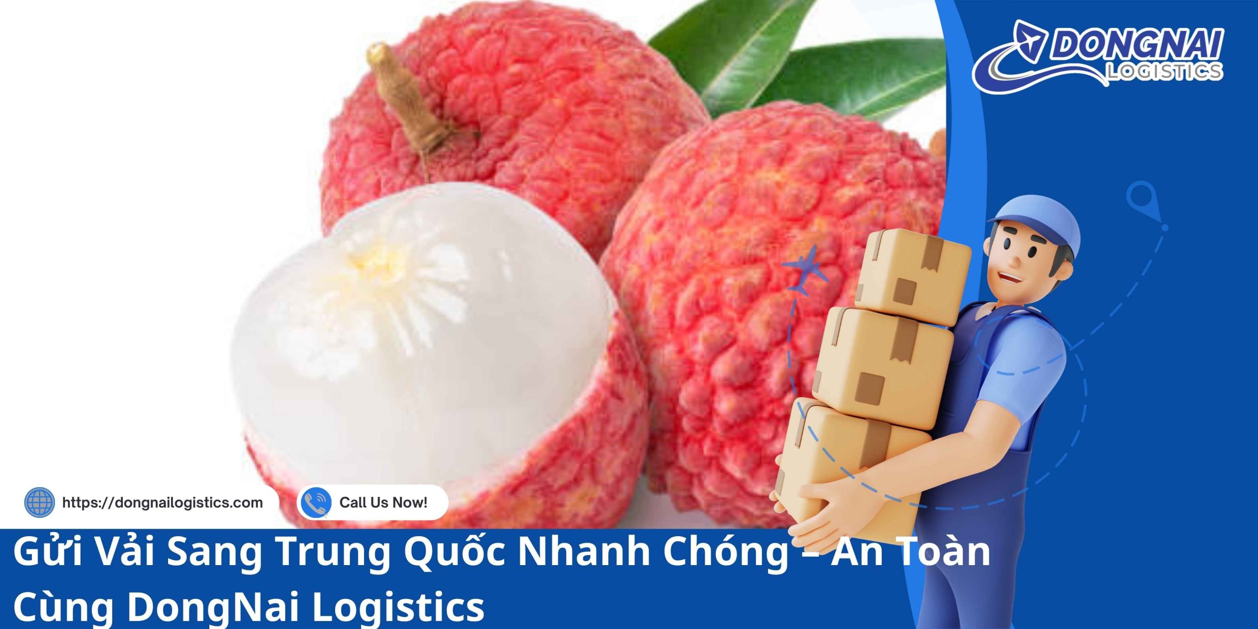 Gửi Vải Thiều Sang Trung Quốc Nhanh – Tươi Đỏ Cùng DongNai Logistics