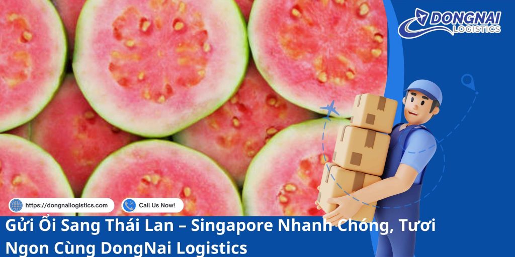 Gửi Ổi Sang Thái Lan – Singapore Nhanh Chóng, Tươi Ngon Cùng DongNai Logistics
