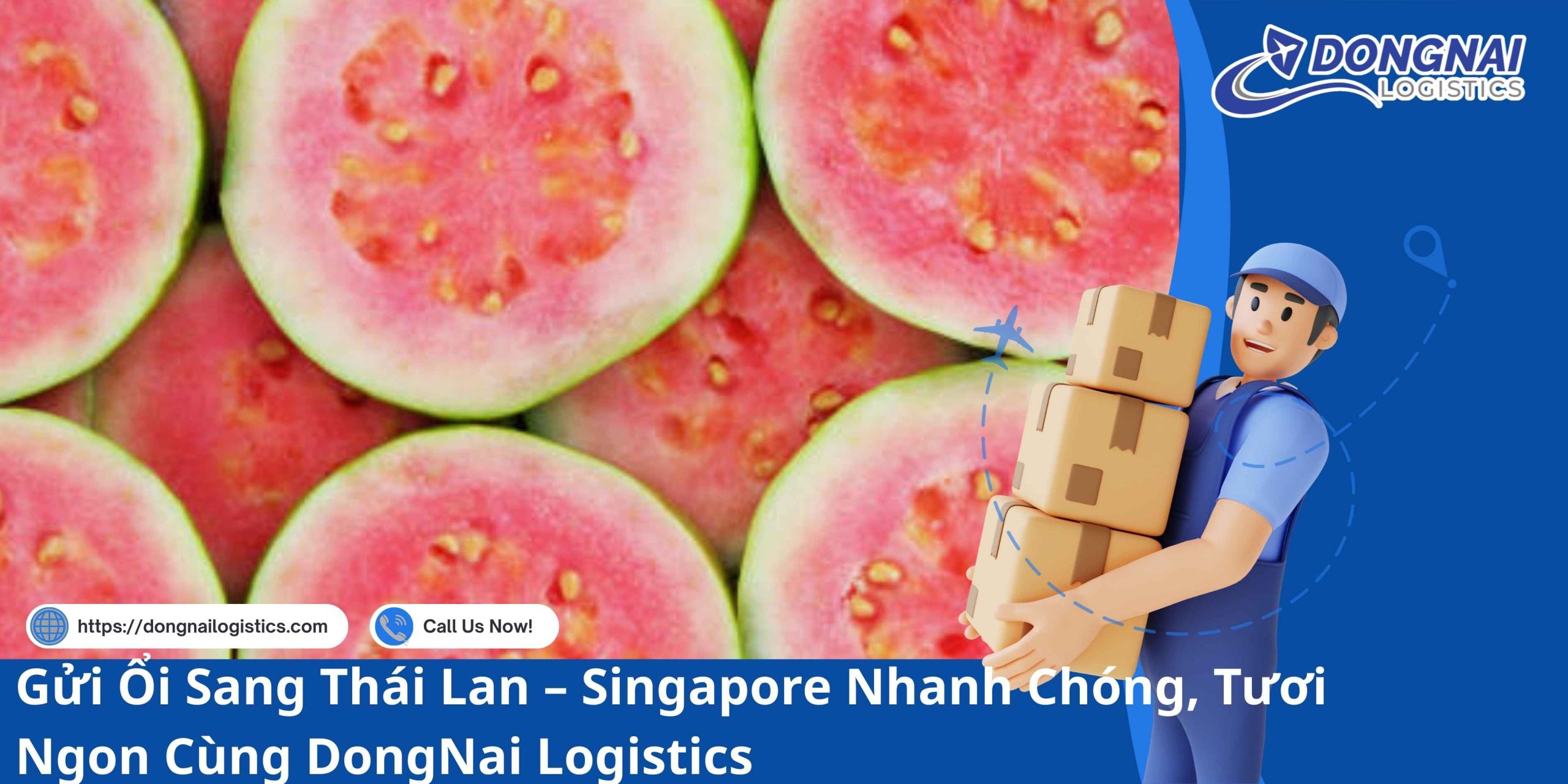 Gửi Ổi Sang Thái Lan – Singapore Nhanh Chóng, Tươi Ngon Cùng DongNai Logistics