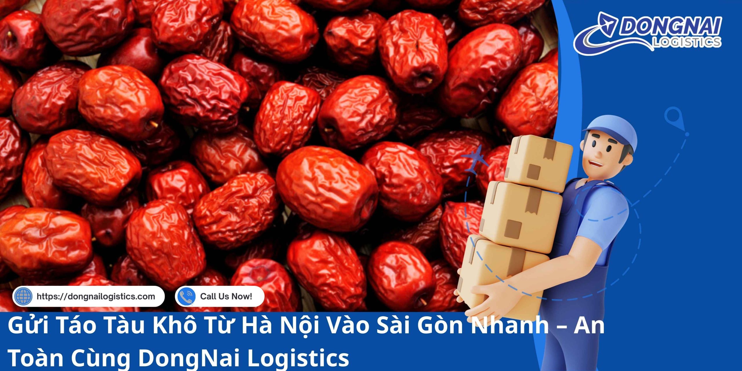 Gửi Táo Tàu Khô Từ Hà Nội Vào Sài Gòn Nhanh – An Toàn Cùng DongNai Logistics