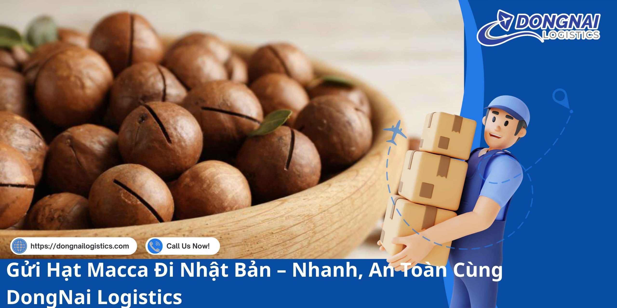 Gửi Hạt Macca Đi Nhật Bản – Nhanh, An Toàn Cùng DongNai Logistics