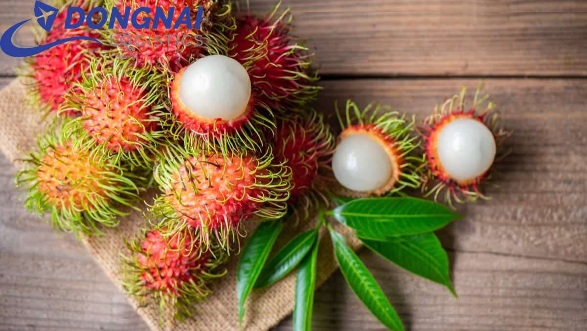 XUẤT KHẨU CHÔM CHÔM QUA ANH QUỐC - NHANH GỌN - THỦ TỤC DỄ DÀNG