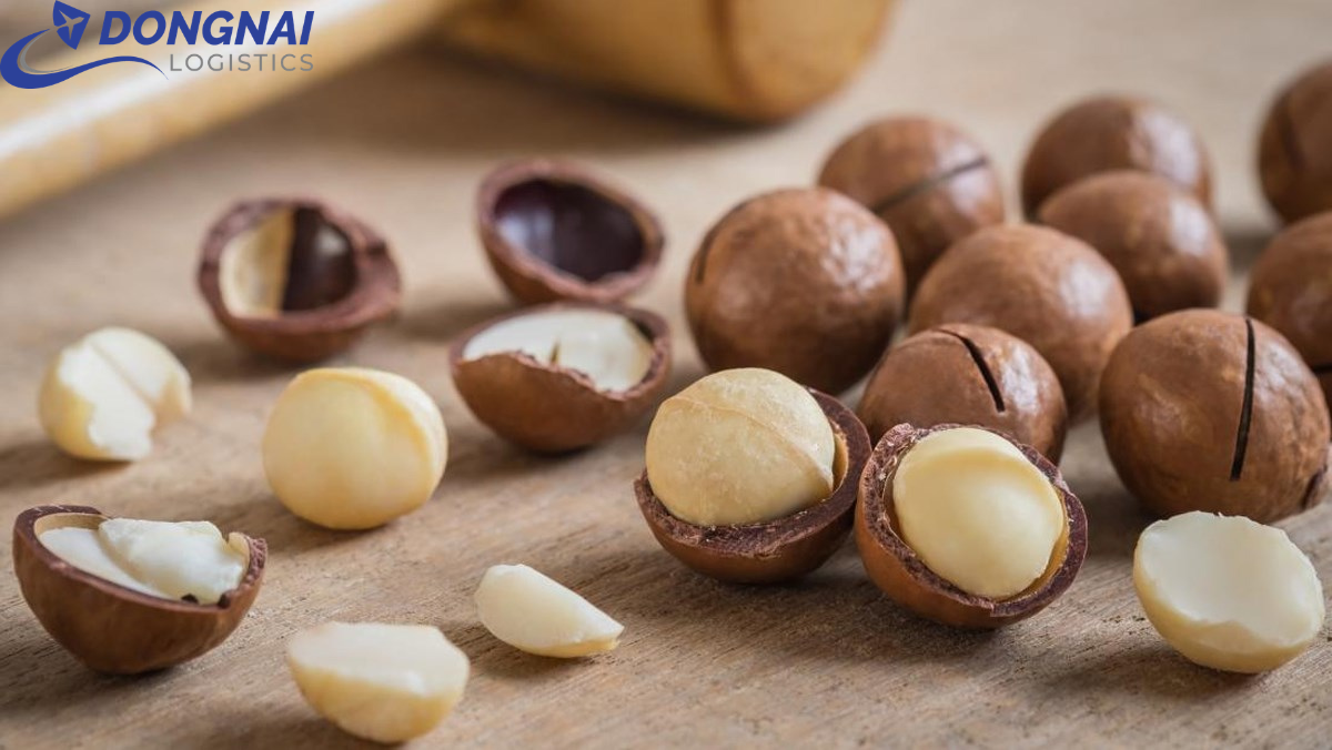 XUẤT KHẨU HẠT MACCA ĐI BA LAN - THỦ TỤC DỄ DÀNG - TIẾT KIỆM