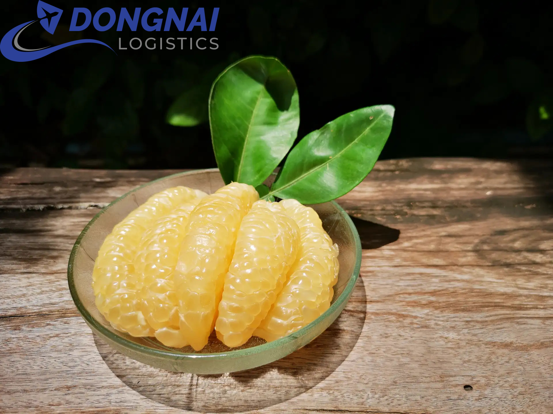 GỬI BƯỞI TÂN TRIỀU LÊN ĐÀ LẠT - TIỆN LỢI - TIẾT KIỆM - NHANH GỌN