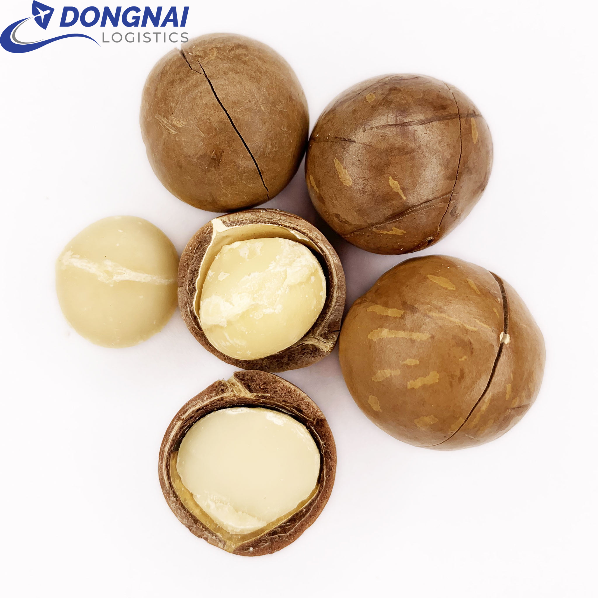 XUẤT KHẨU HẠT MACCA ĐI BA LAN - THỦ TỤC DỄ DÀNG - TIẾT KIỆM
