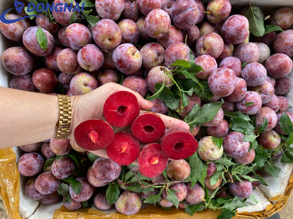 VẬN CHUYỂN HỎA TỐC TRÁI CÂY VÙNG MIỀN - NHANH CHÓNG - TIẾT KIỆM