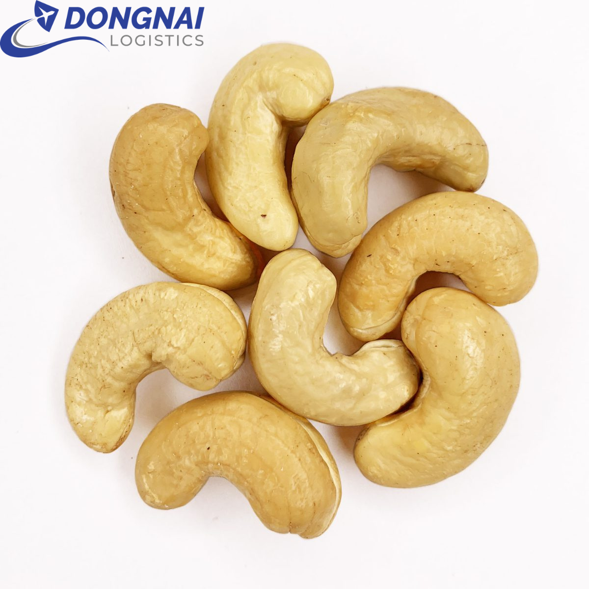 XUẤT KHẨU HẠT ĐIỀU QUA CỘNG HÒA SÉC - NHANH GỌN- THỦ TỤC DỄ DÀNG