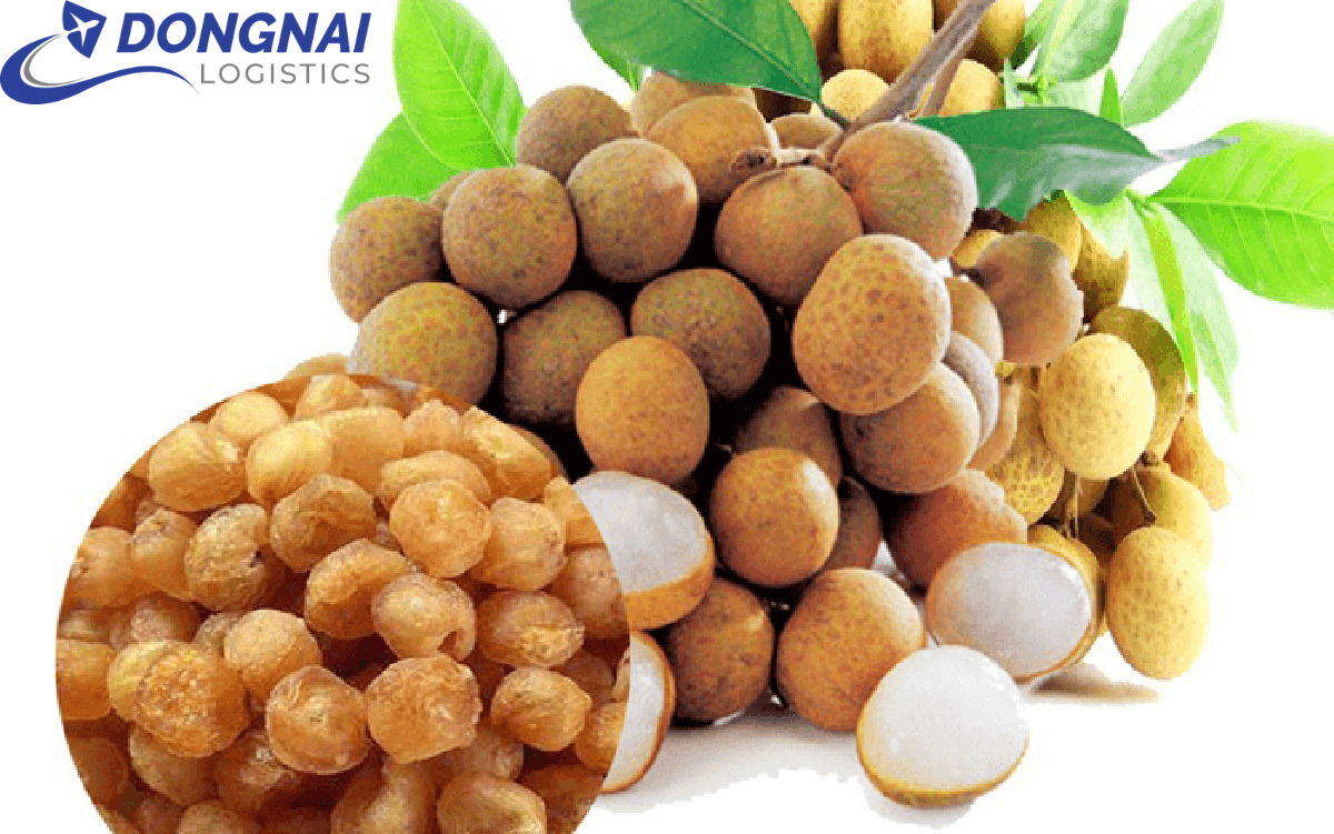XUẤT KHẨU LONG NHÃN ĐI ÚC - THỦ TỤC DỄ DÀNG - NHANH GỌN