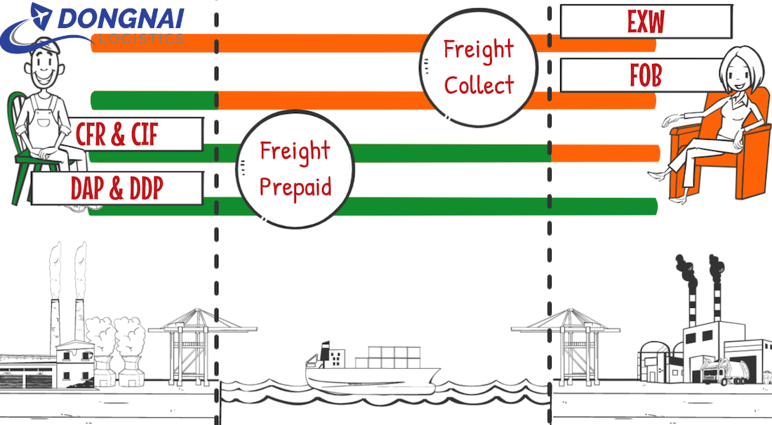 FREIGHT COLLECT VÀ FREIGHT PREPAID LÀ GÌ? PHÂN BIỆT CHI TIẾT TRONG XUẤT NHẬP KHẨU