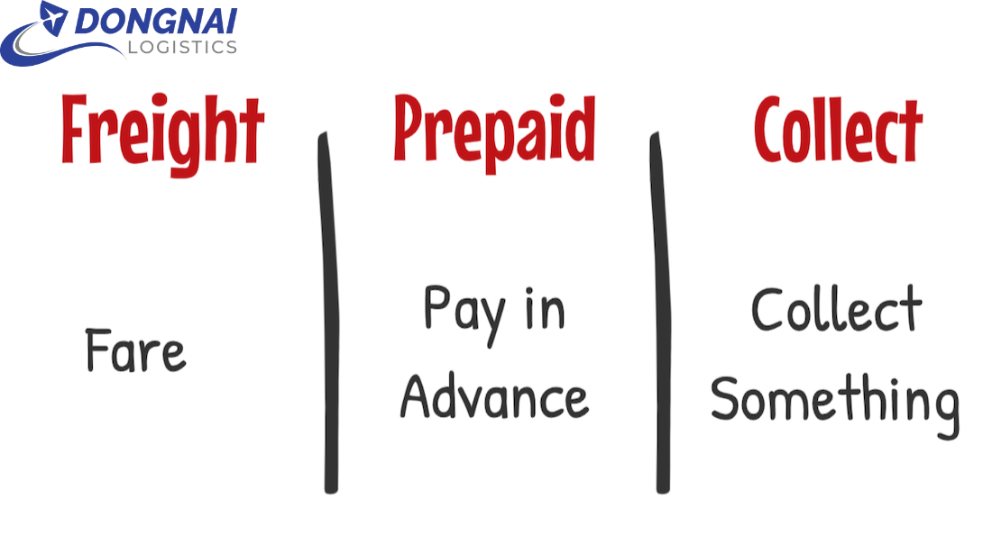 FREIGHT COLLECT VÀ FREIGHT PREPAID LÀ GÌ? PHÂN BIỆT CHI TIẾT TRONG XUẤT NHẬP KHẨU