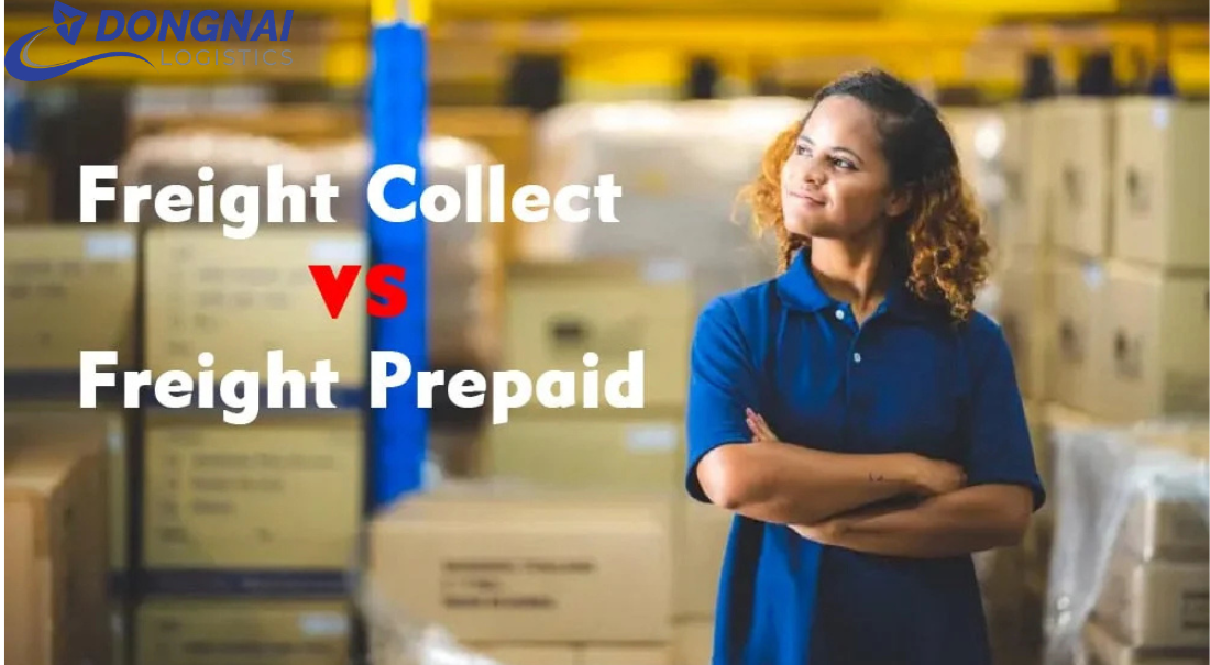 FREIGHT COLLECT VÀ FREIGHT PREPAID LÀ GÌ? PHÂN BIỆT CHI TIẾT TRONG XUẤT NHẬP KHẨU