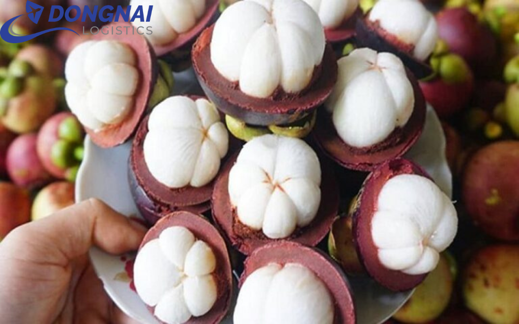Xuất khẩu măng cụt sang các nước EU