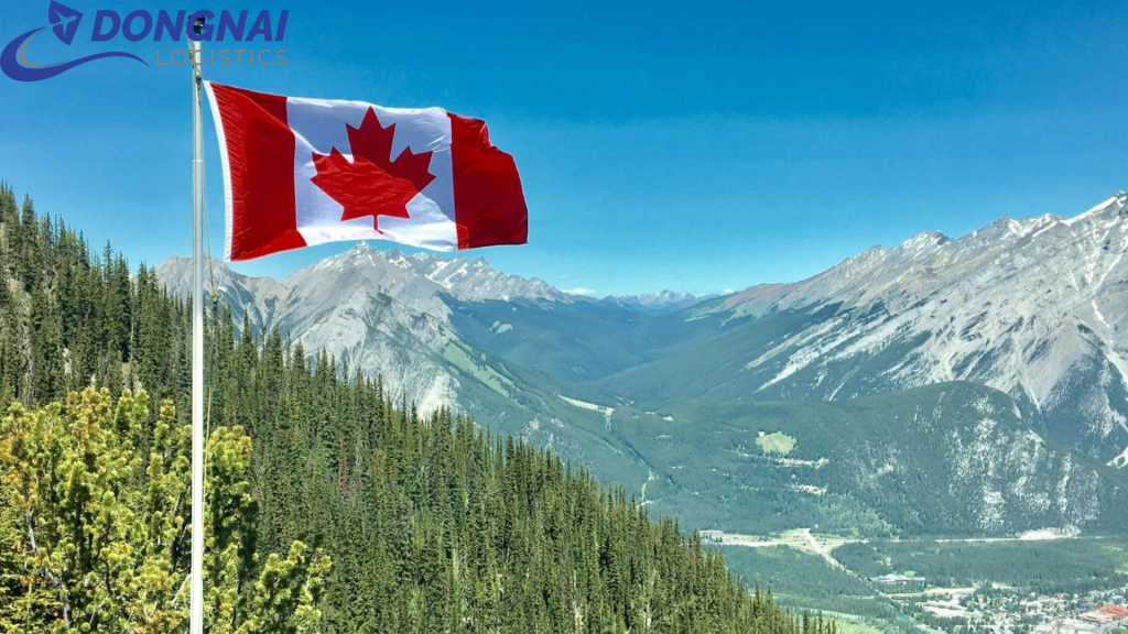 Gửi Thuốc Tây Đi Canada Có Được Không?