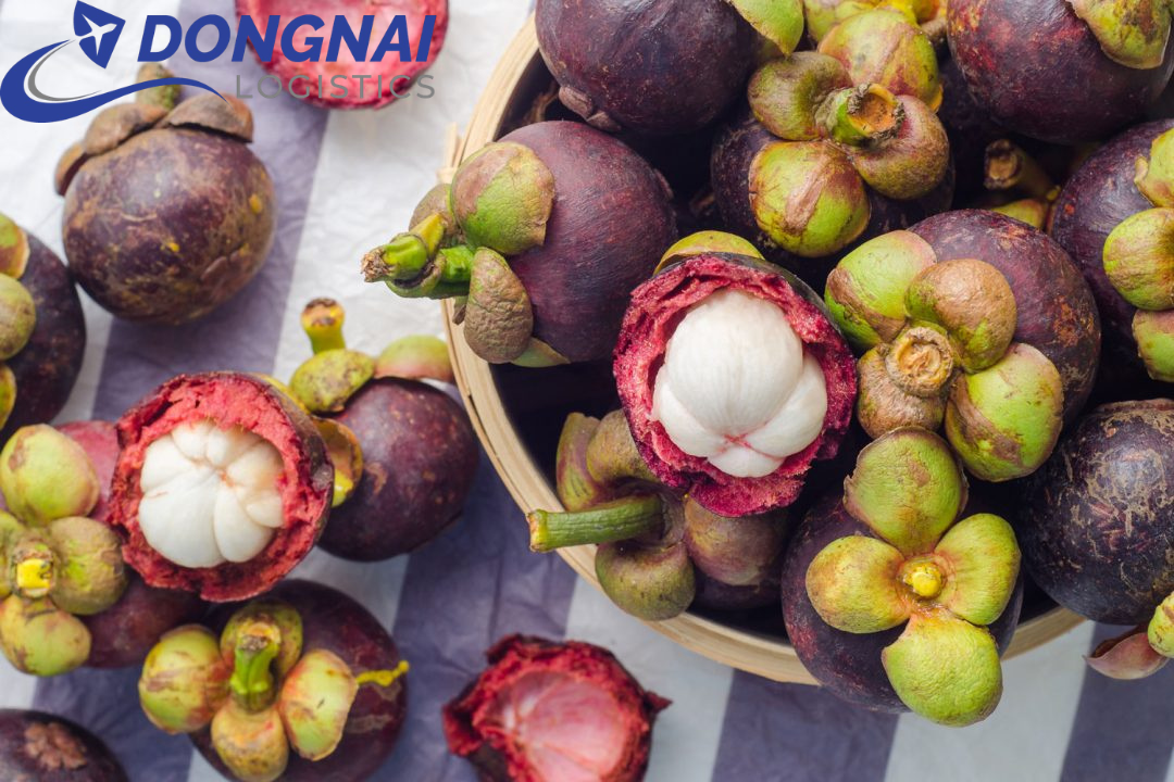Xuất khẩu măng cụt sang các nước EU